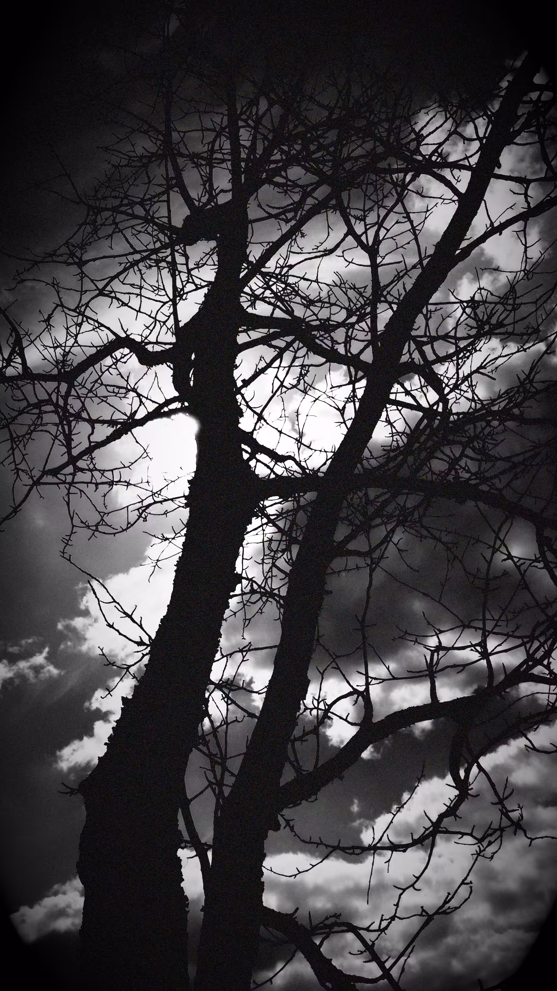 "The door you never checked": "What Grew in the Dark"