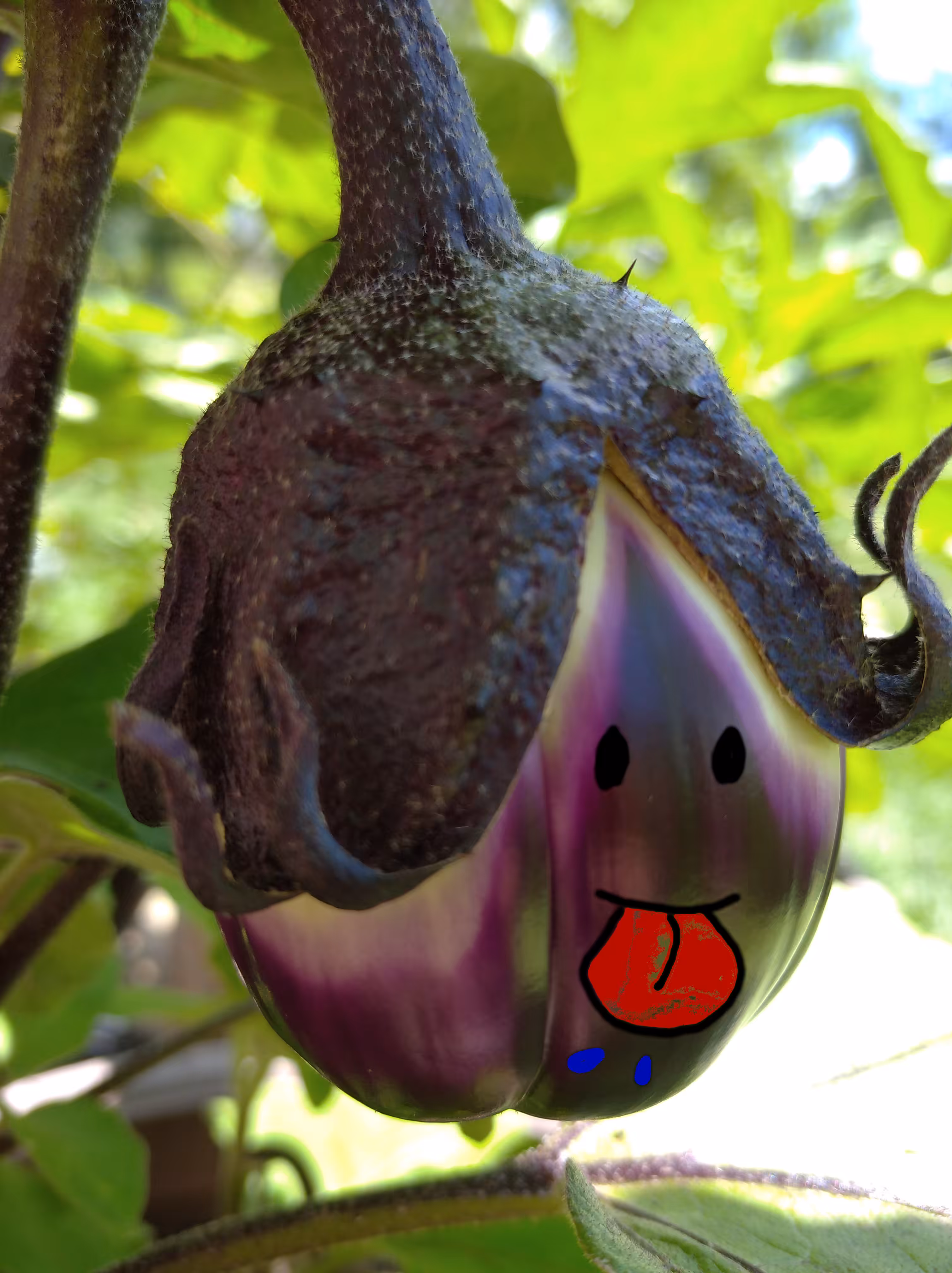 Baby Aubergine hates bad hackers