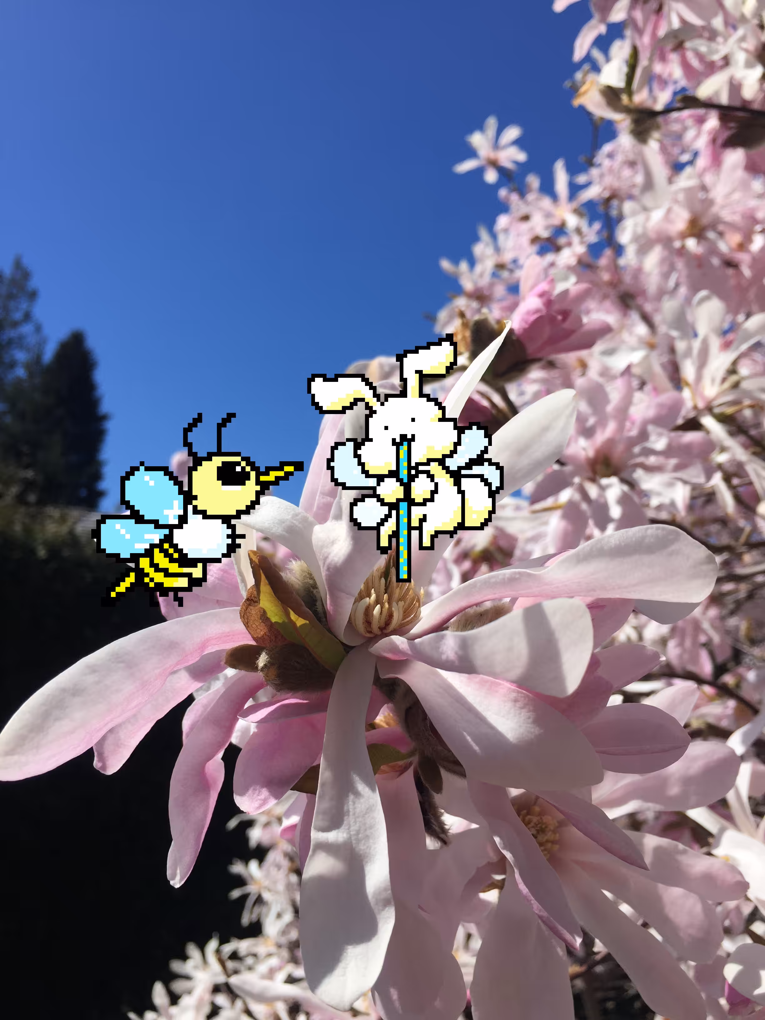 Being a Bee