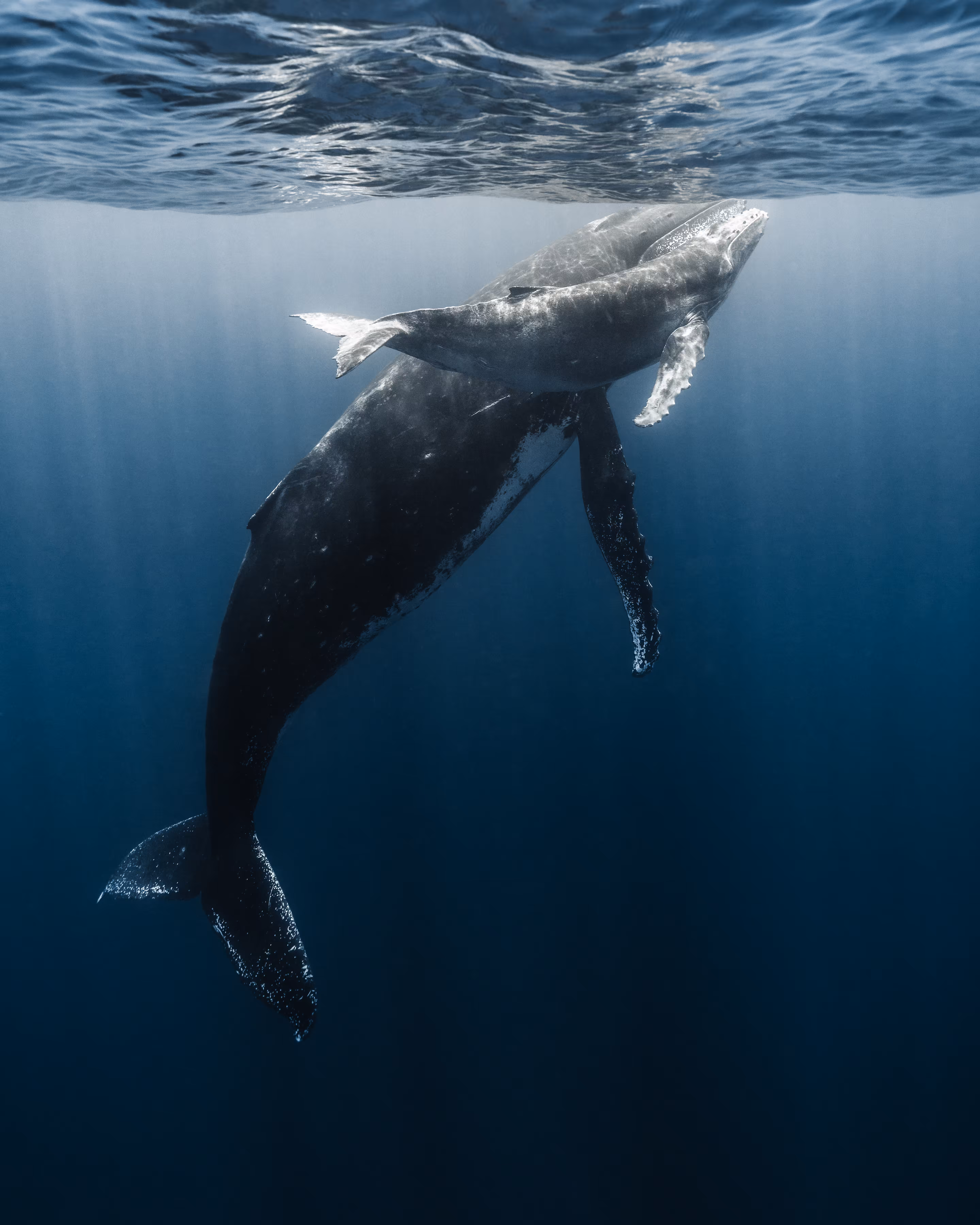 Tales from the Blue Planet - Part I
