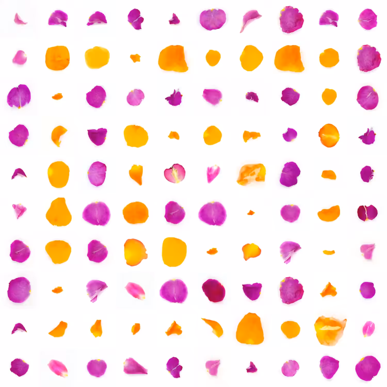 Infinite Petals 10x10#612
