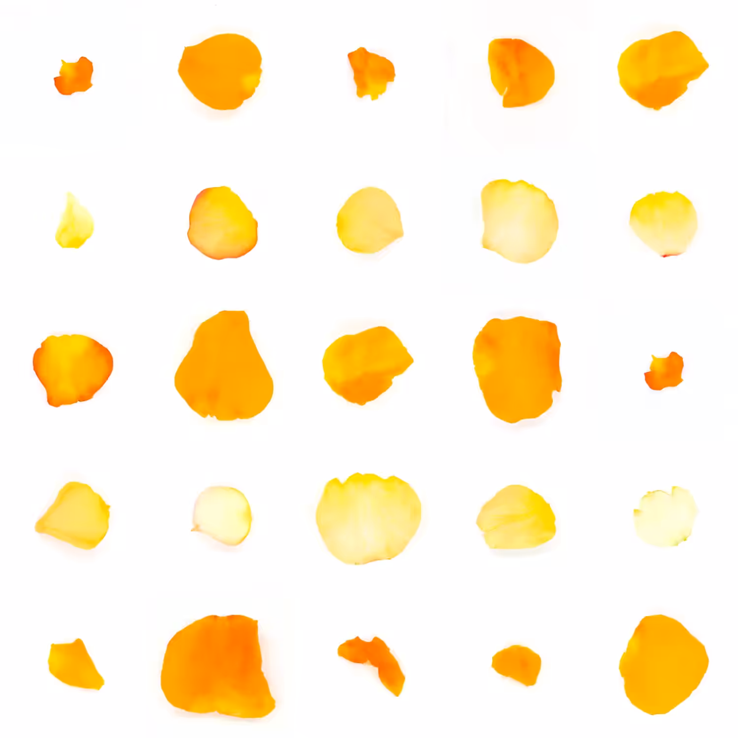 Infinite Petals 5x5#1793
