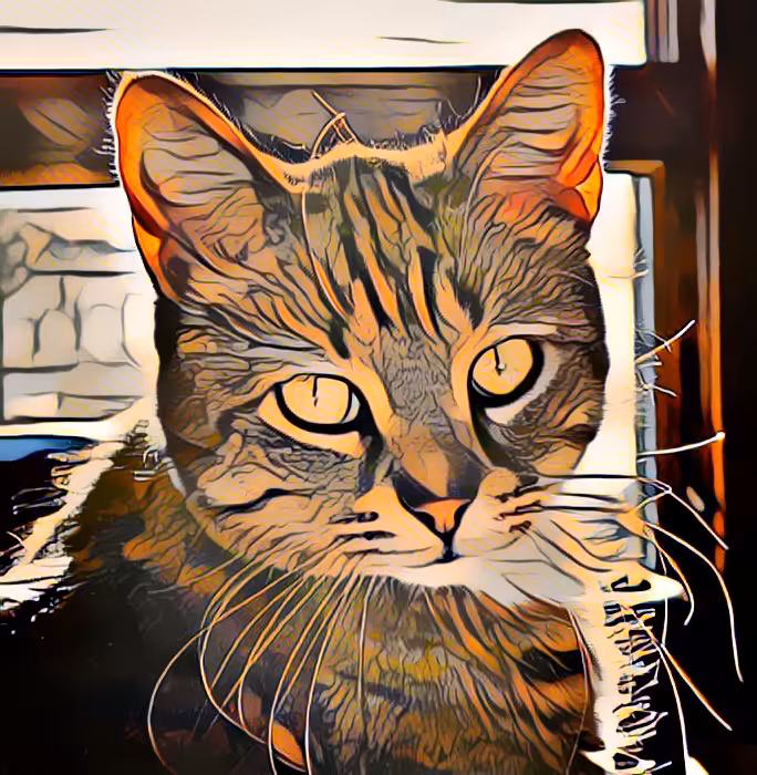 Stare