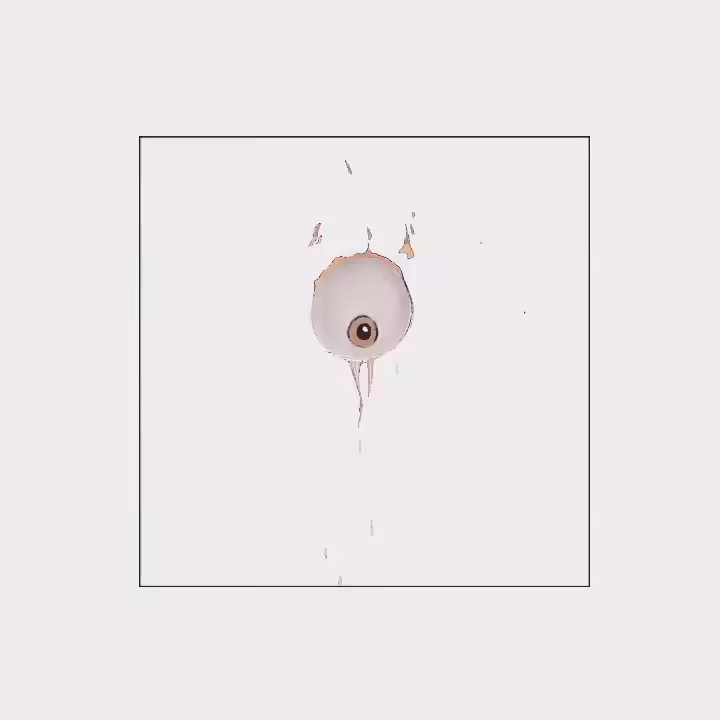 Th eye