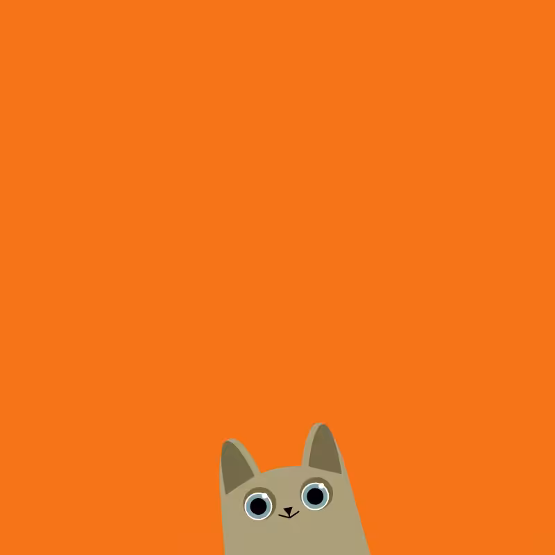 Where is the cat? #7