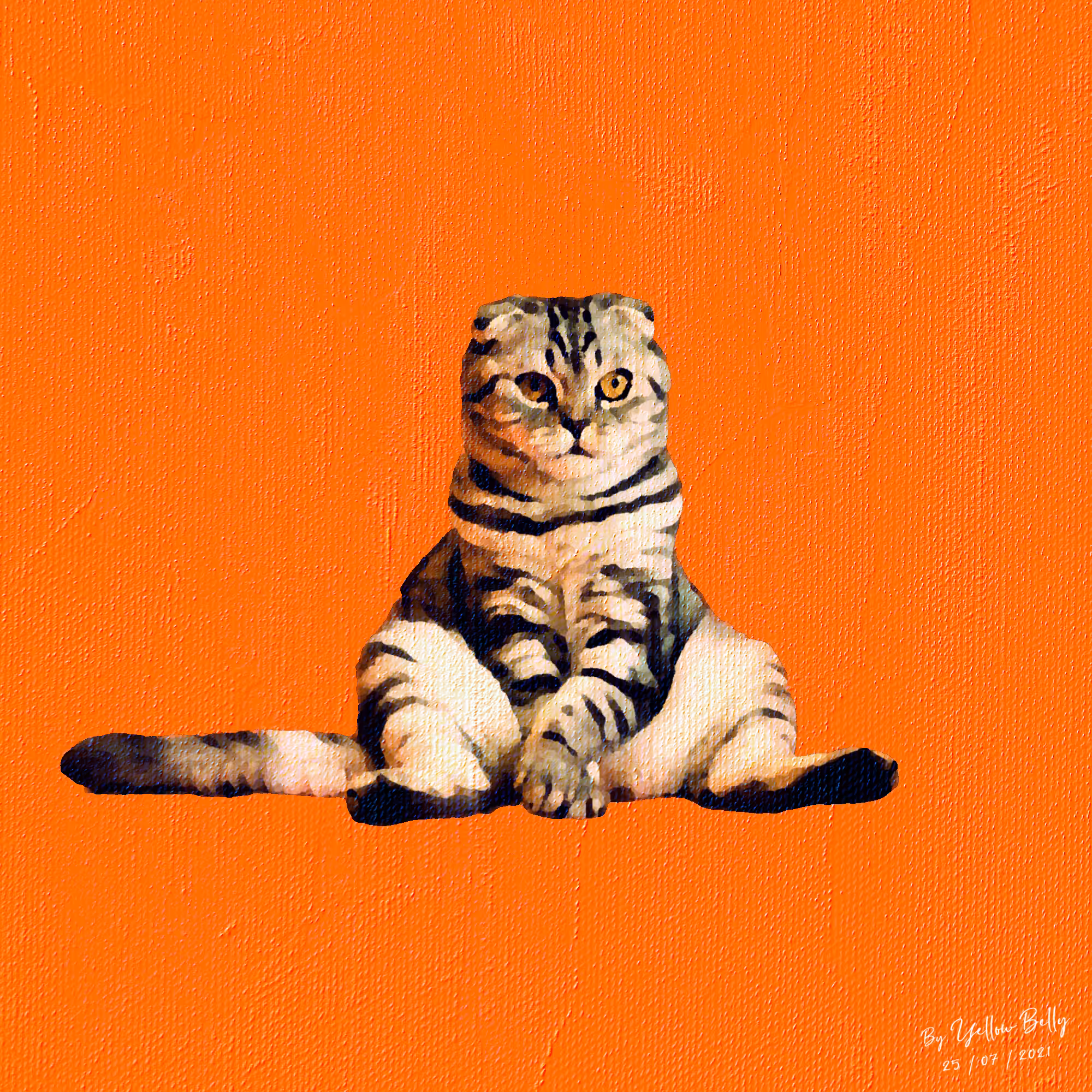 Charlie the Cat - Funny Farm Collectable Animals #018