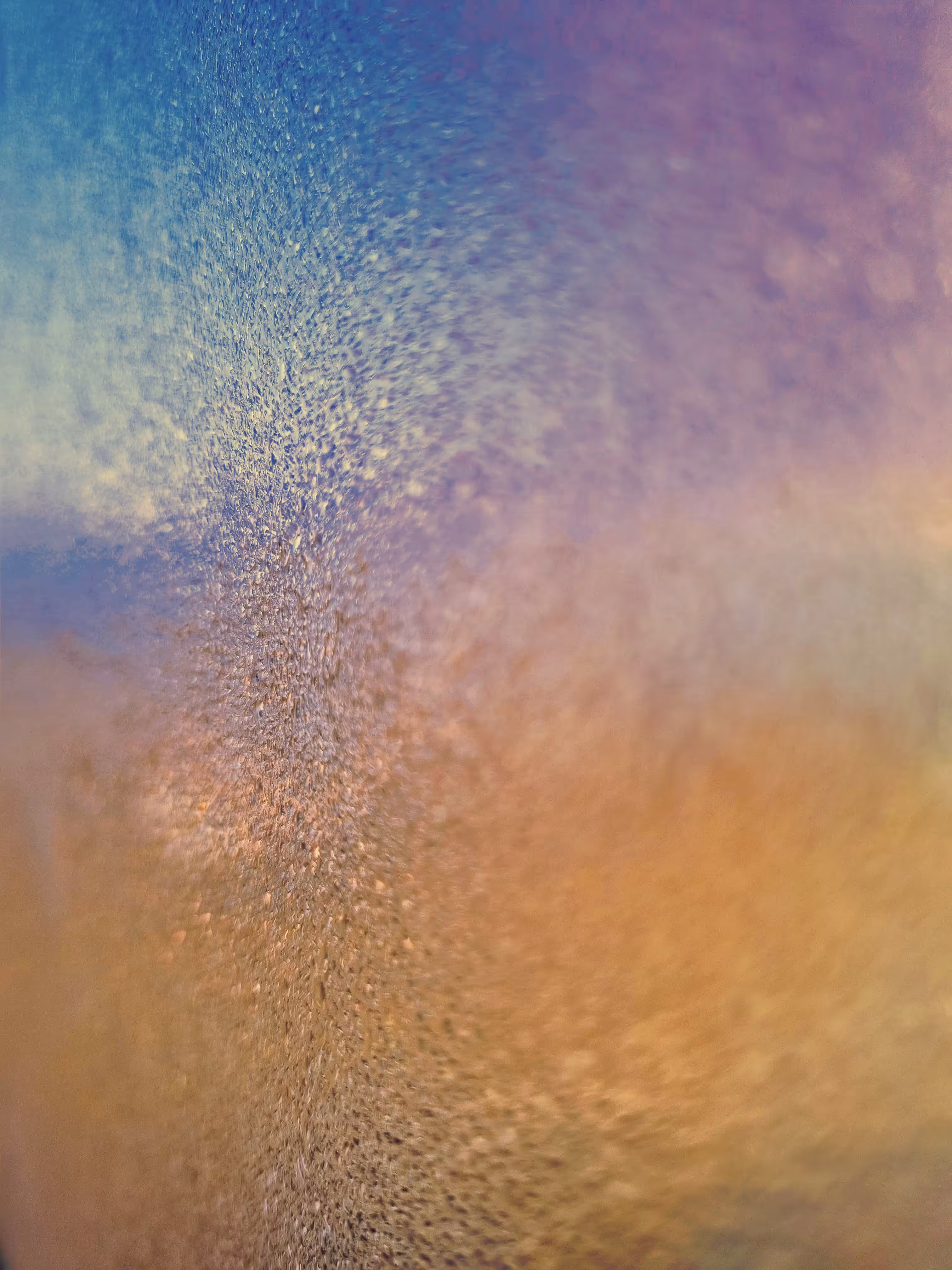 multicolor morning