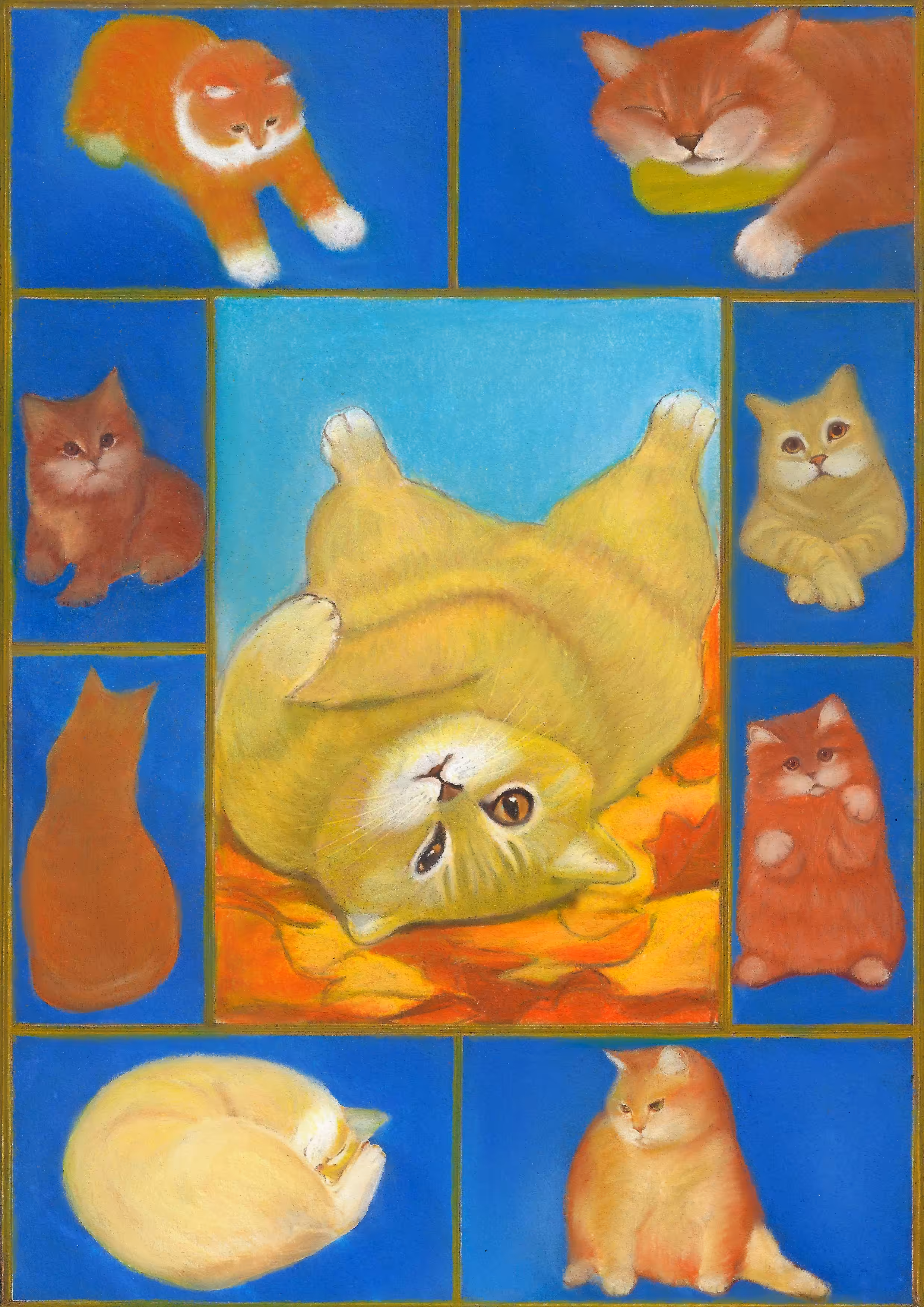 cats&another beautiful pets: The life of a cat