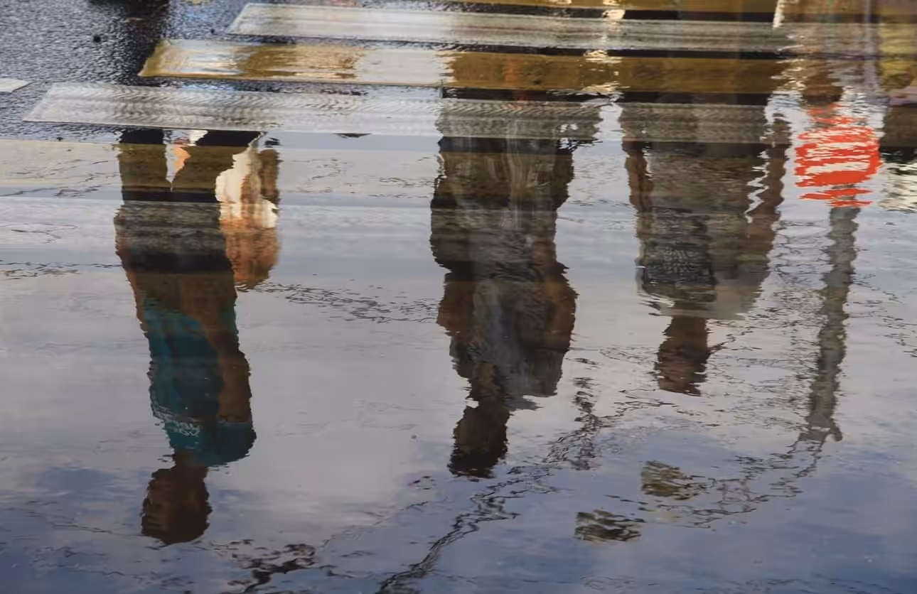 Reflections in Motion