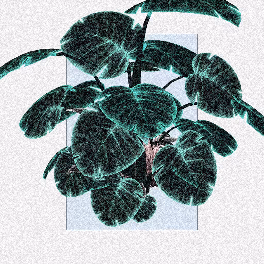 Botany #76