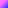 ~purple~