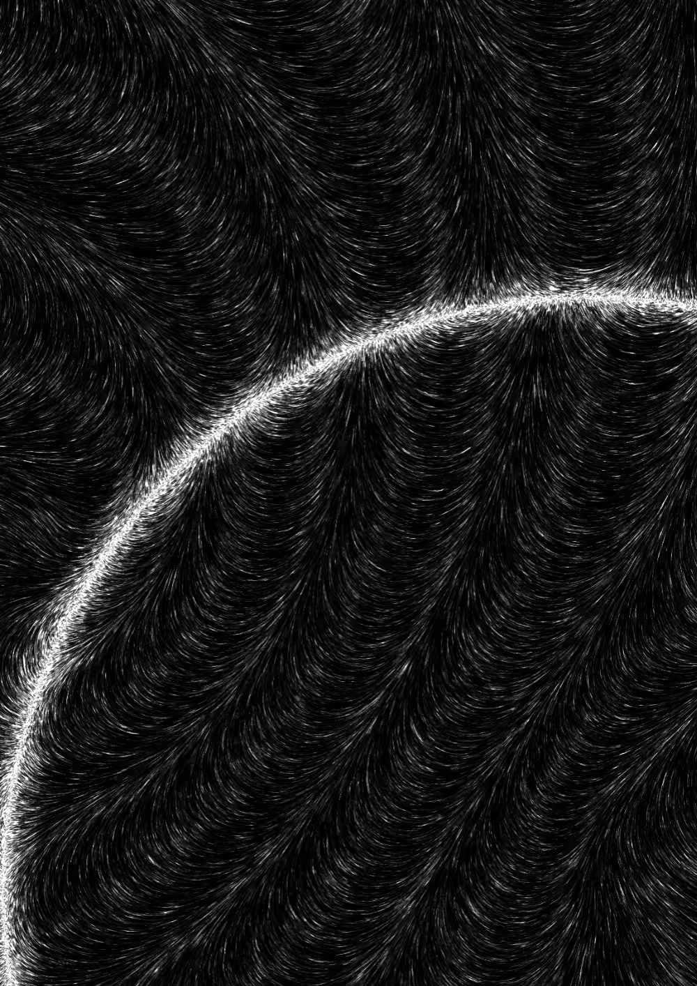 Flux #26