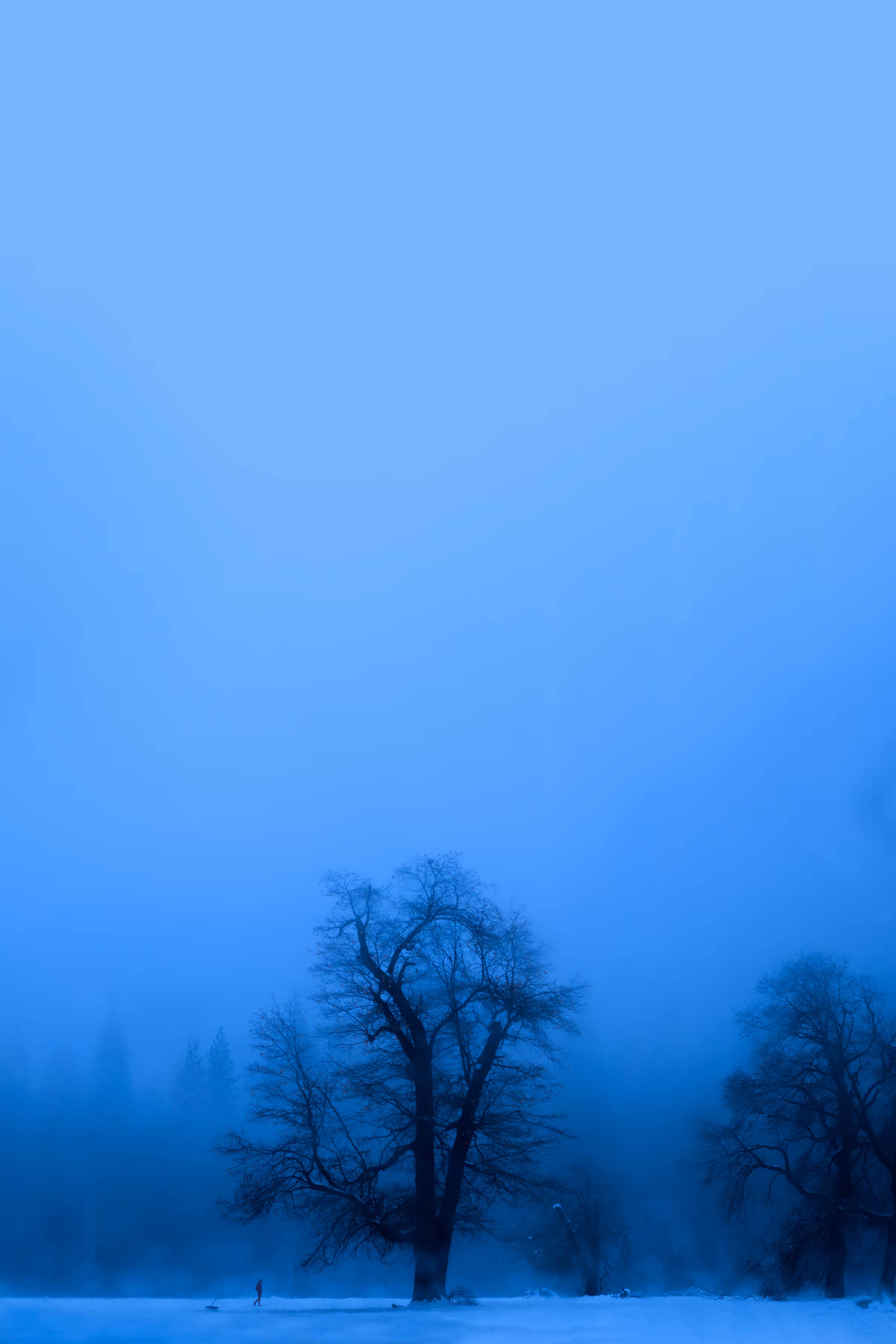 Alone