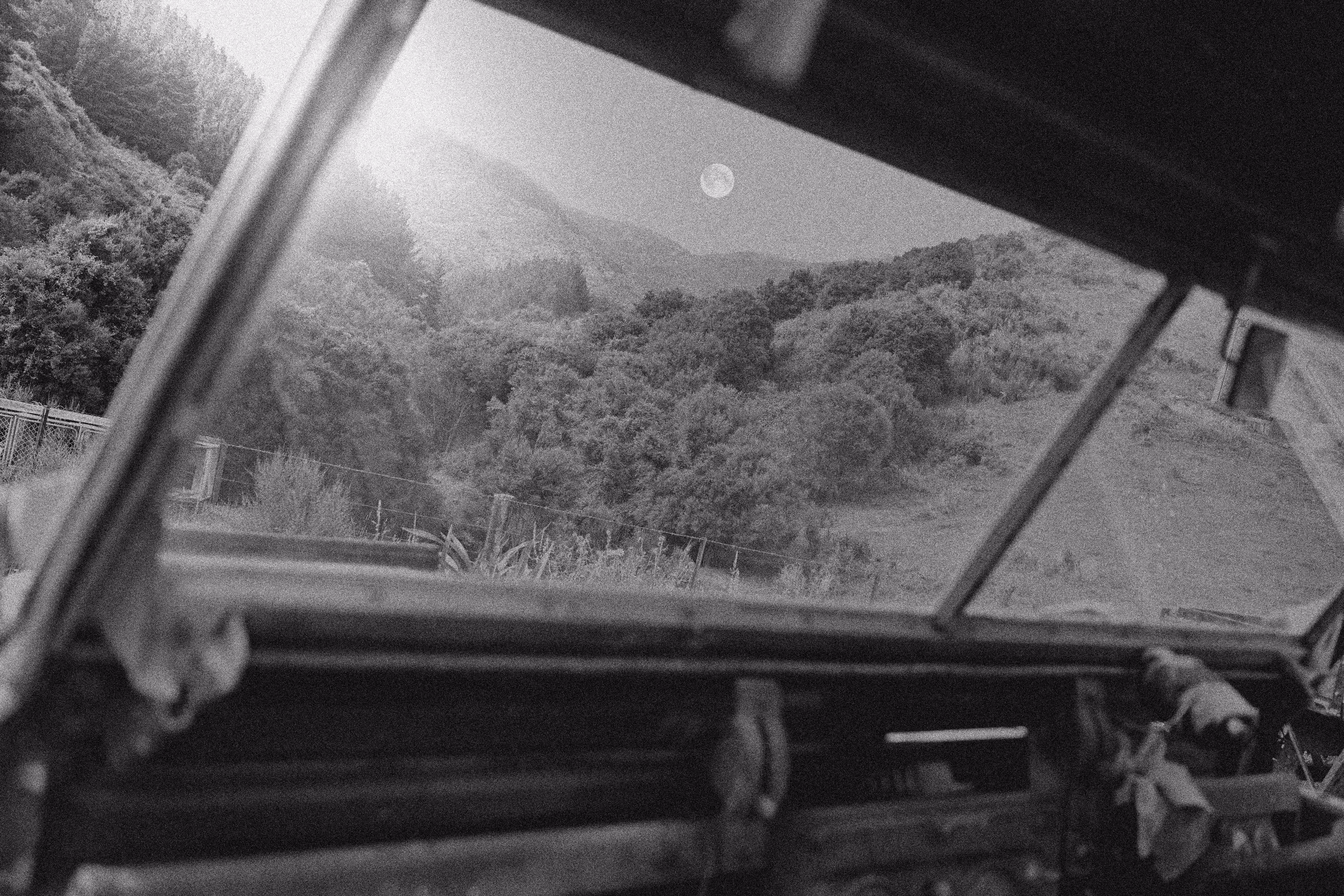 Valley Of The Wasp