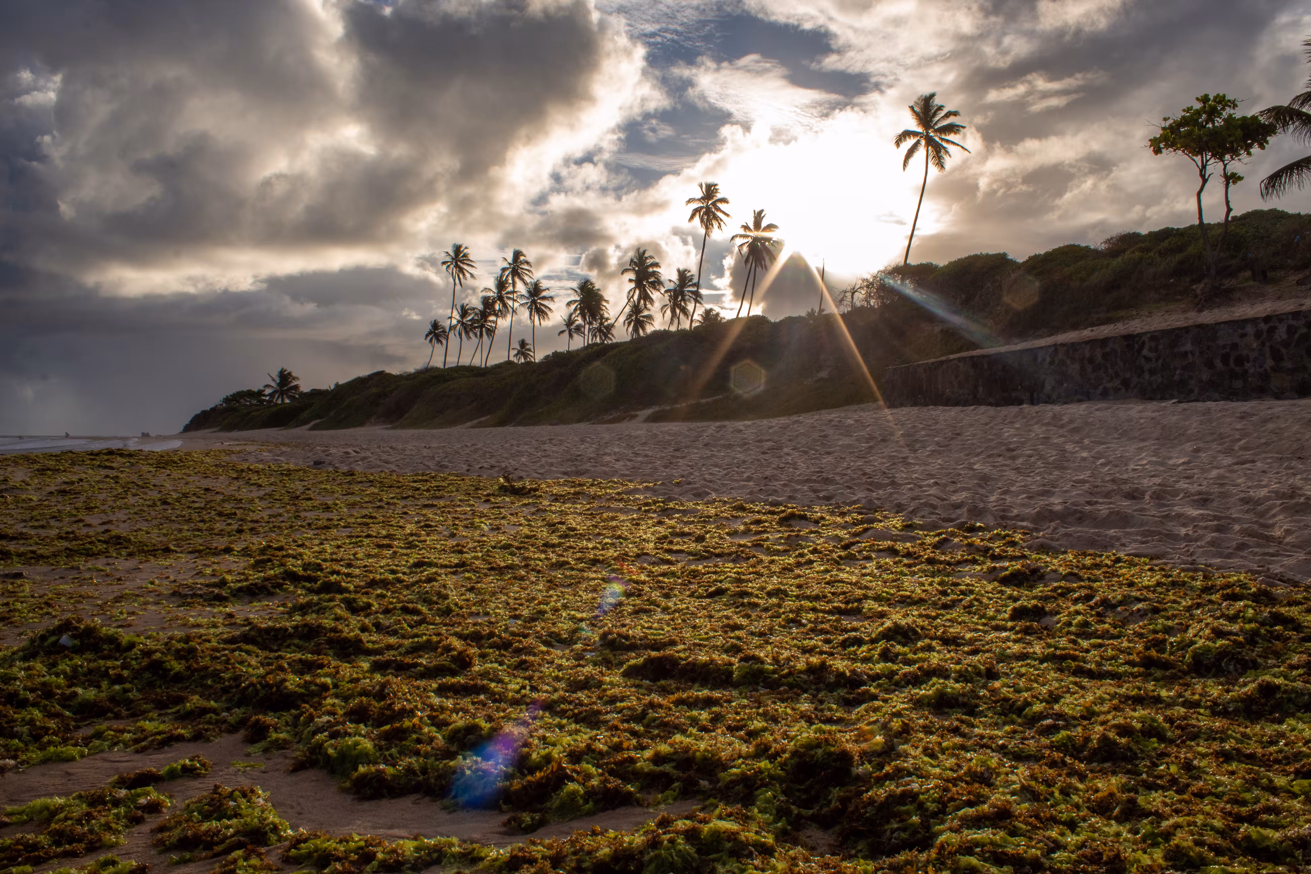 Sunset of Bahia IV