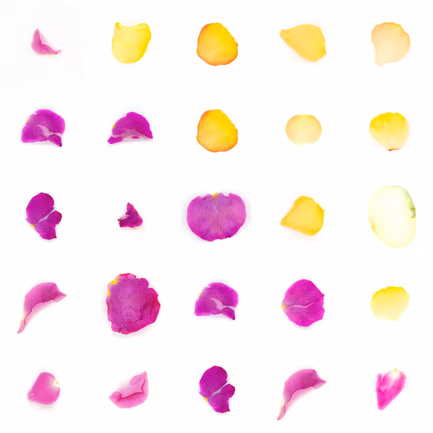 Infinite Petals 5x5#2527