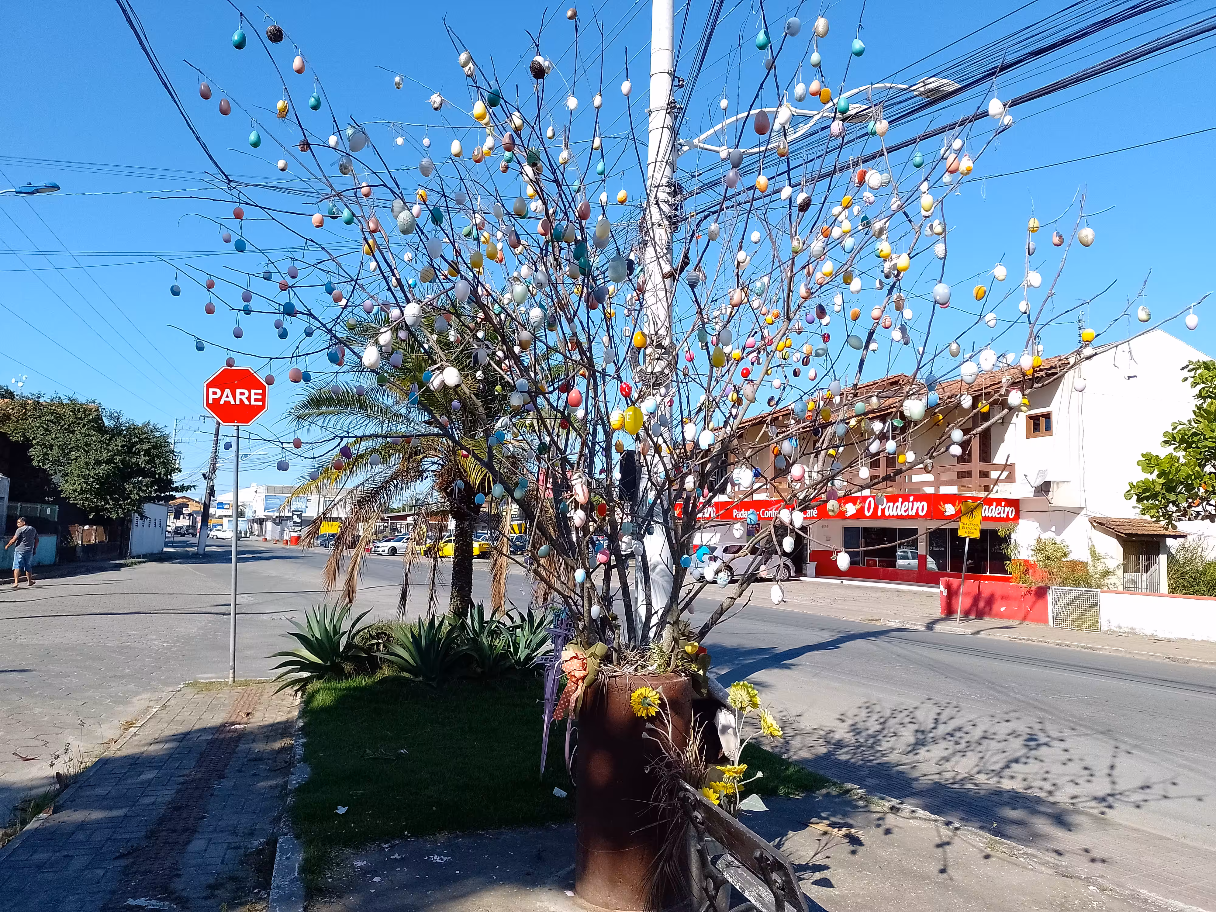 Tree of eggs