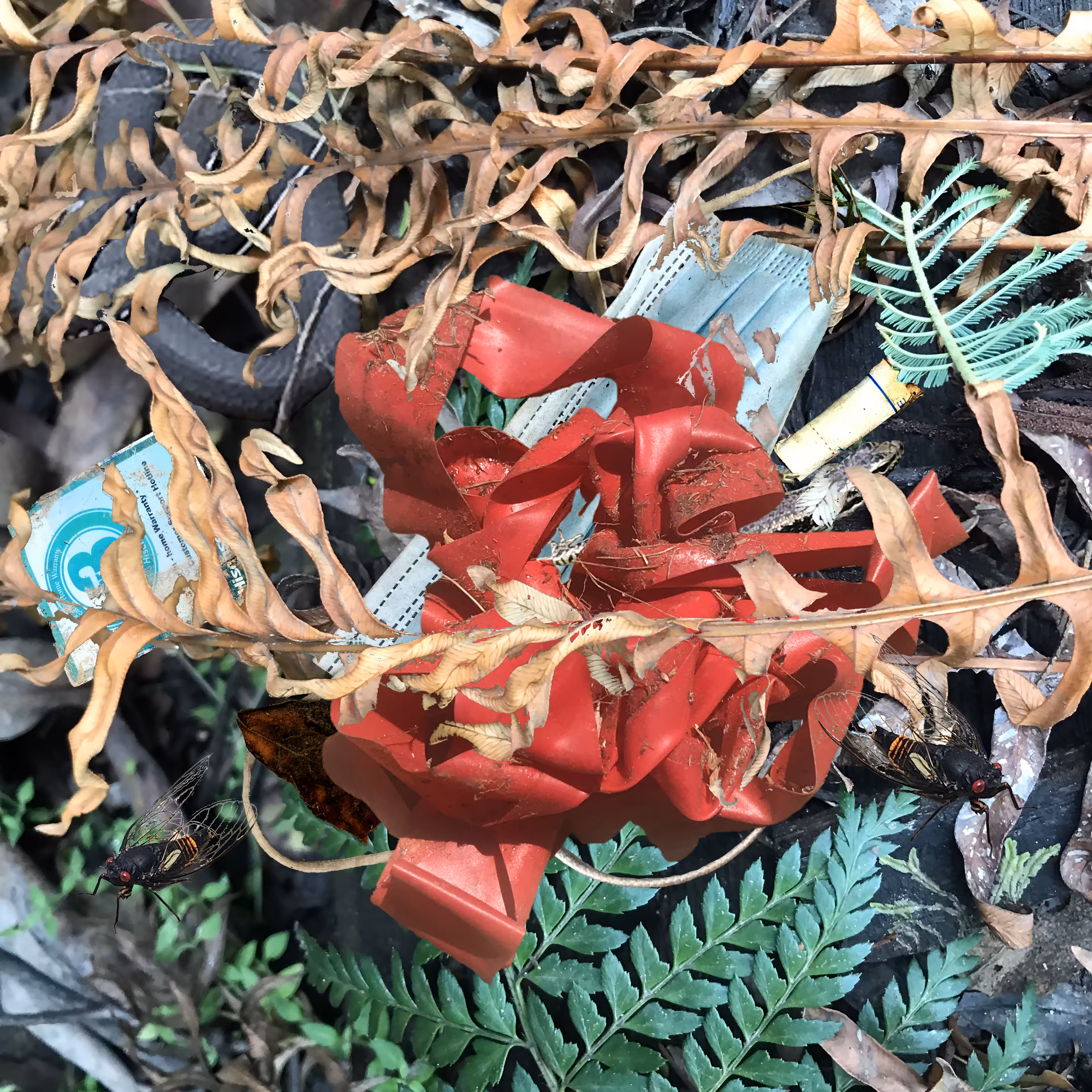 Forest Trash and Treasure #0