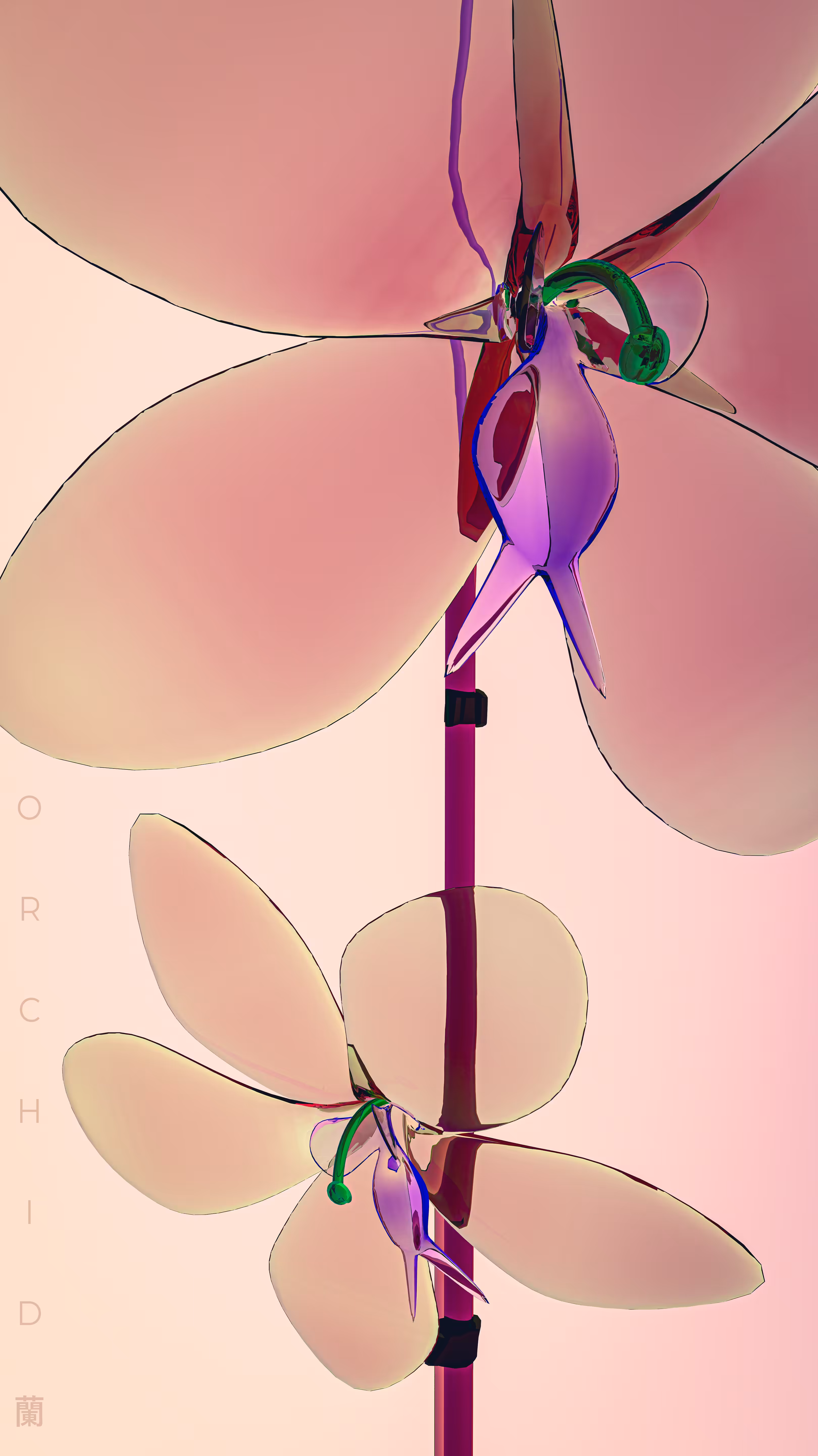 Orchid - 蘭 (WHALE Member's Edition) #4/20