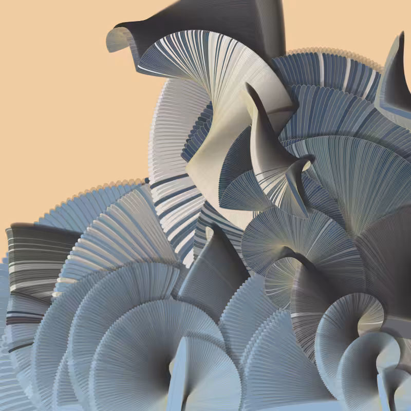 Seashells #156