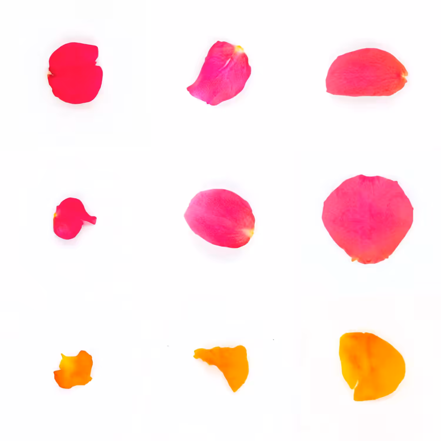 Infinite Petals 3x3#3499