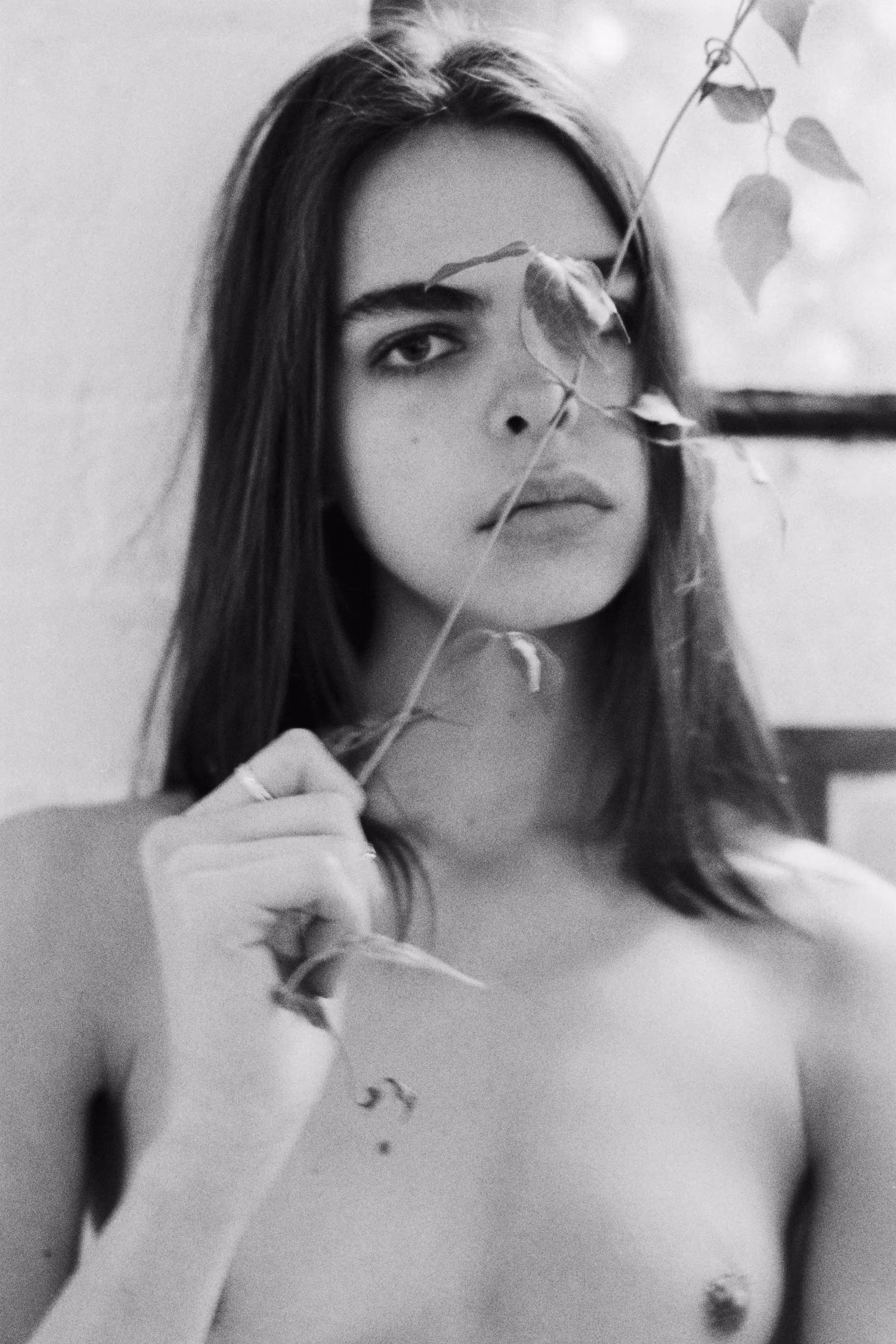She is Art: Bee