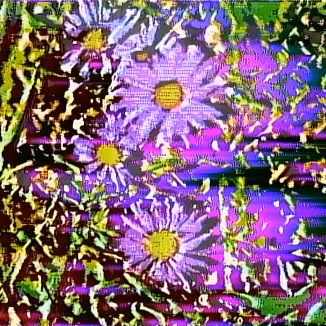 vhs dream 0199