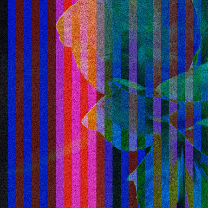 CLDCSMC #38