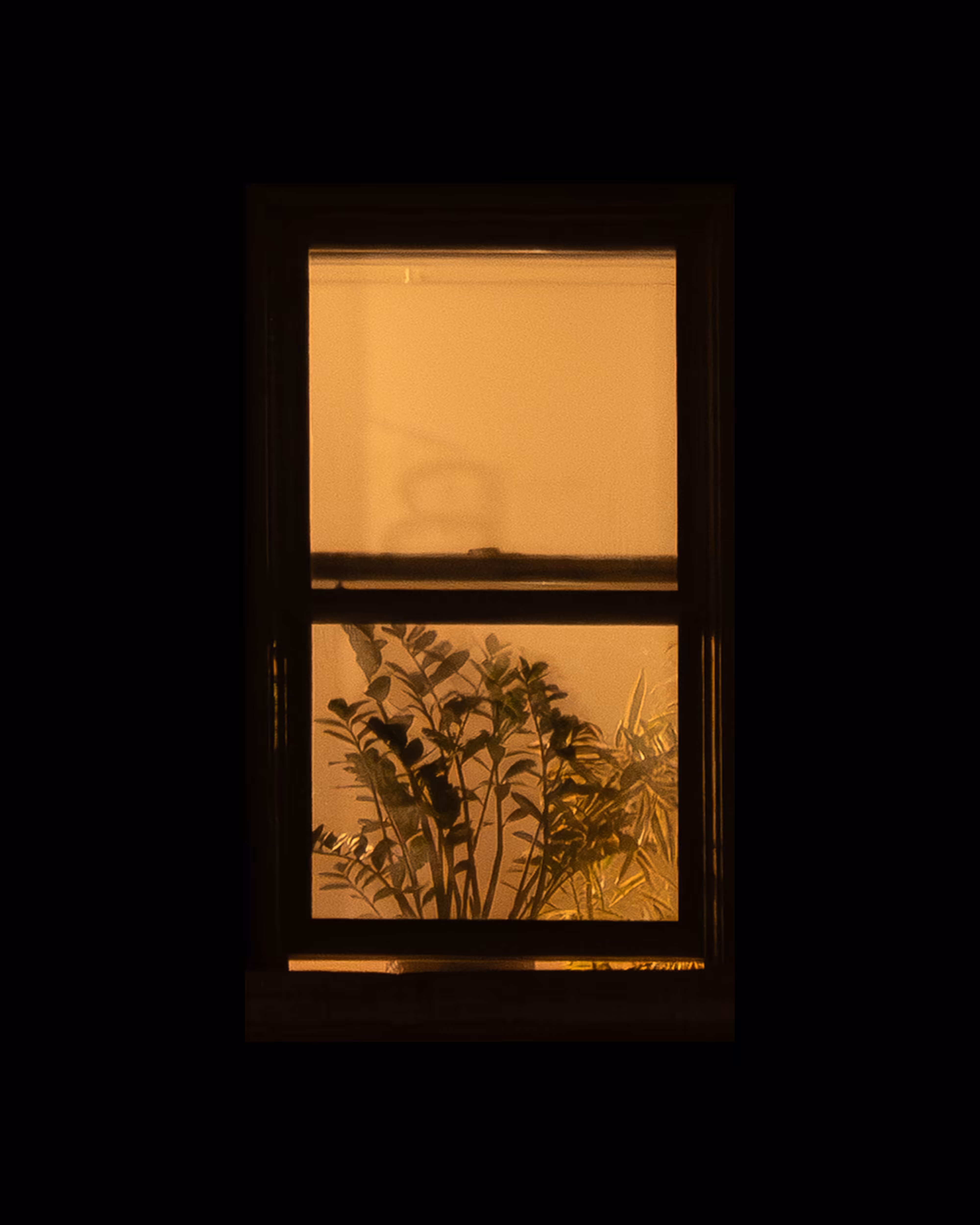 WINDOW 146