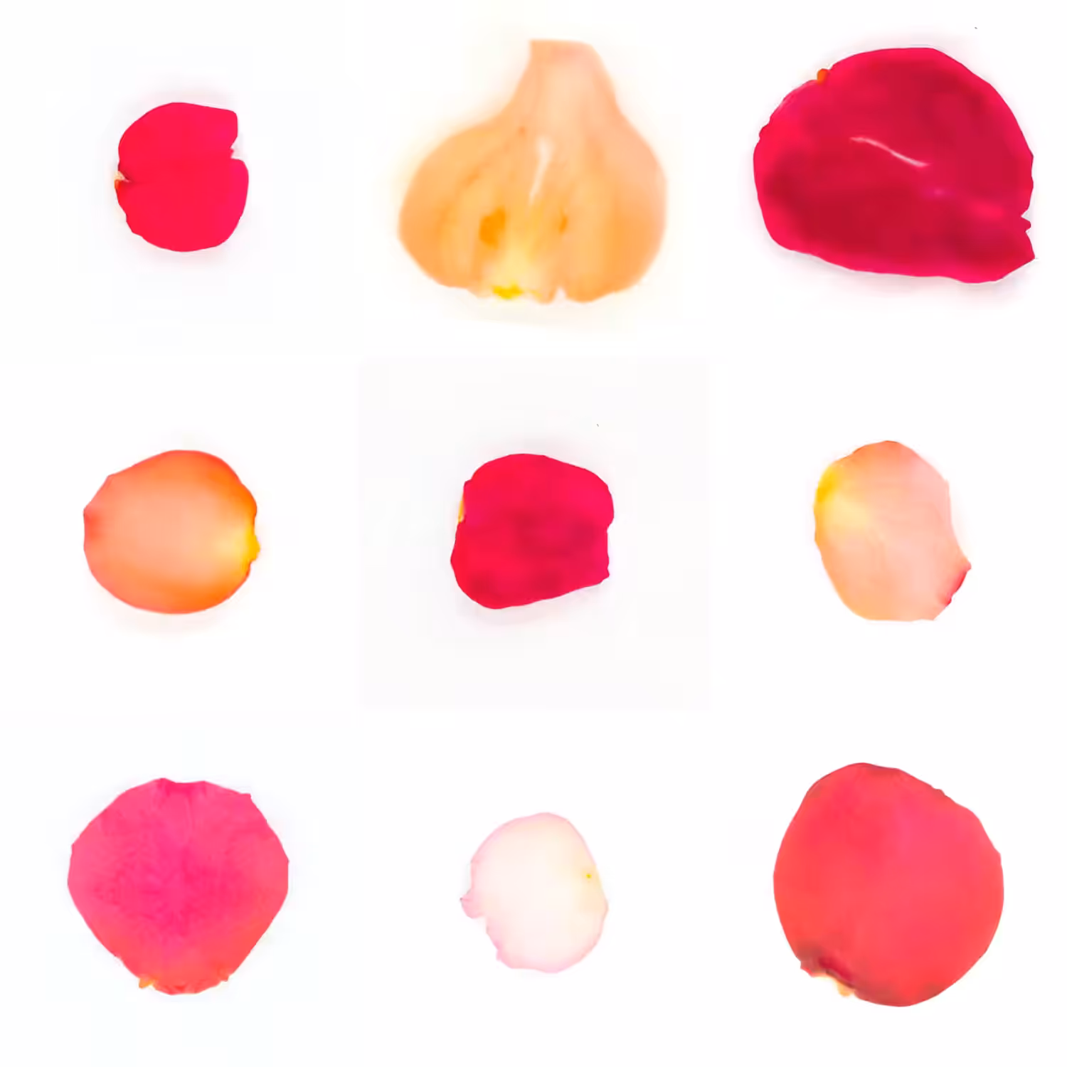 Infinite Petals 3x3#3429