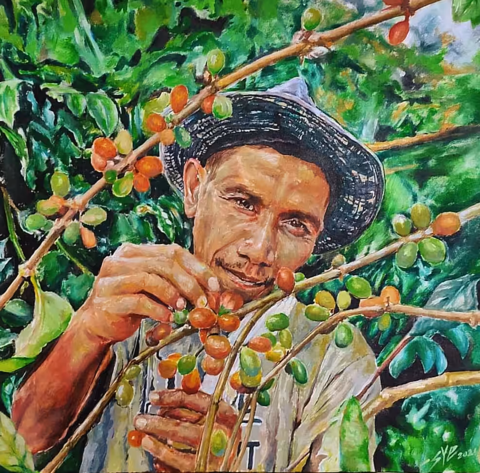 SOURCE OF COFFEE 