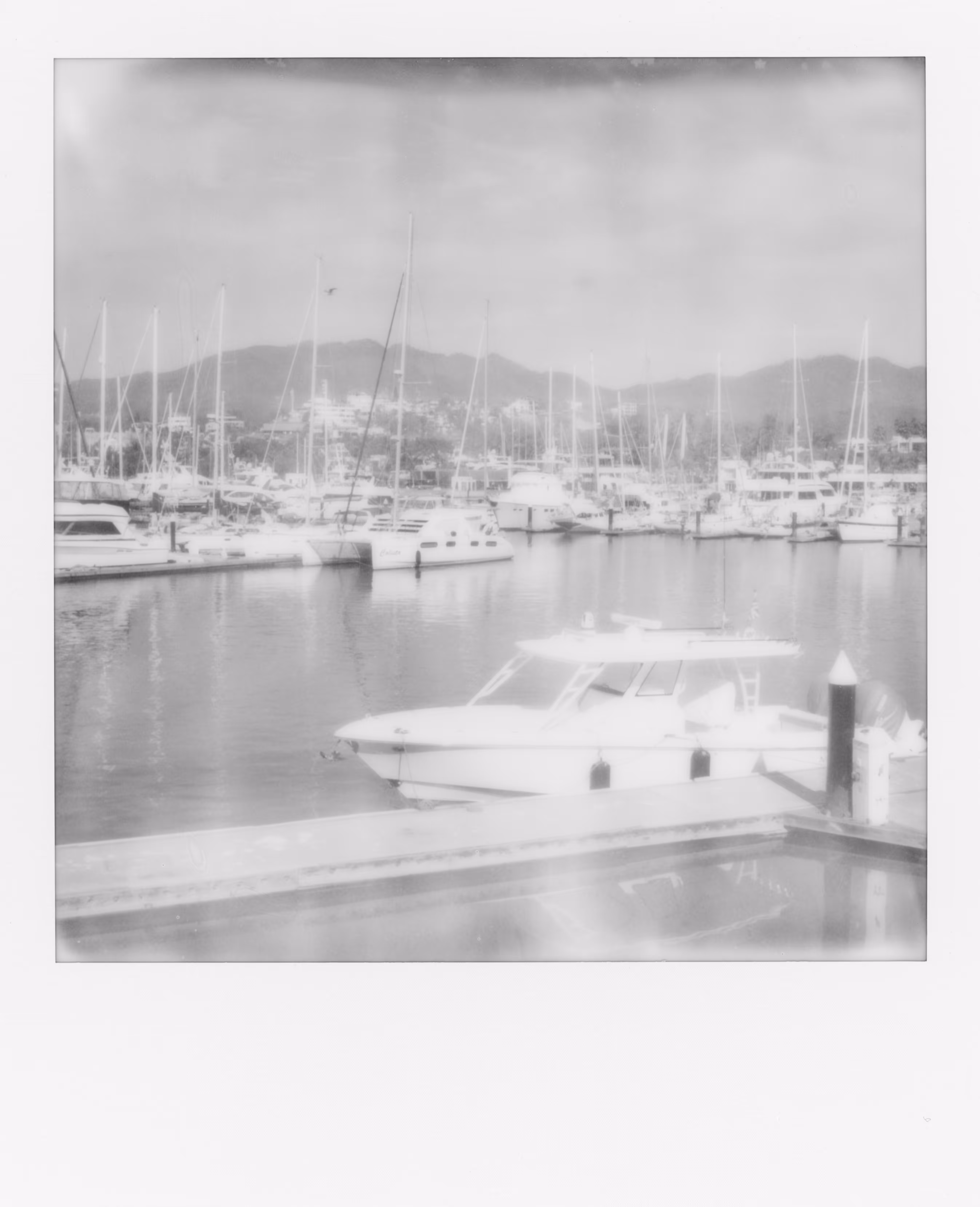 Marina Memories