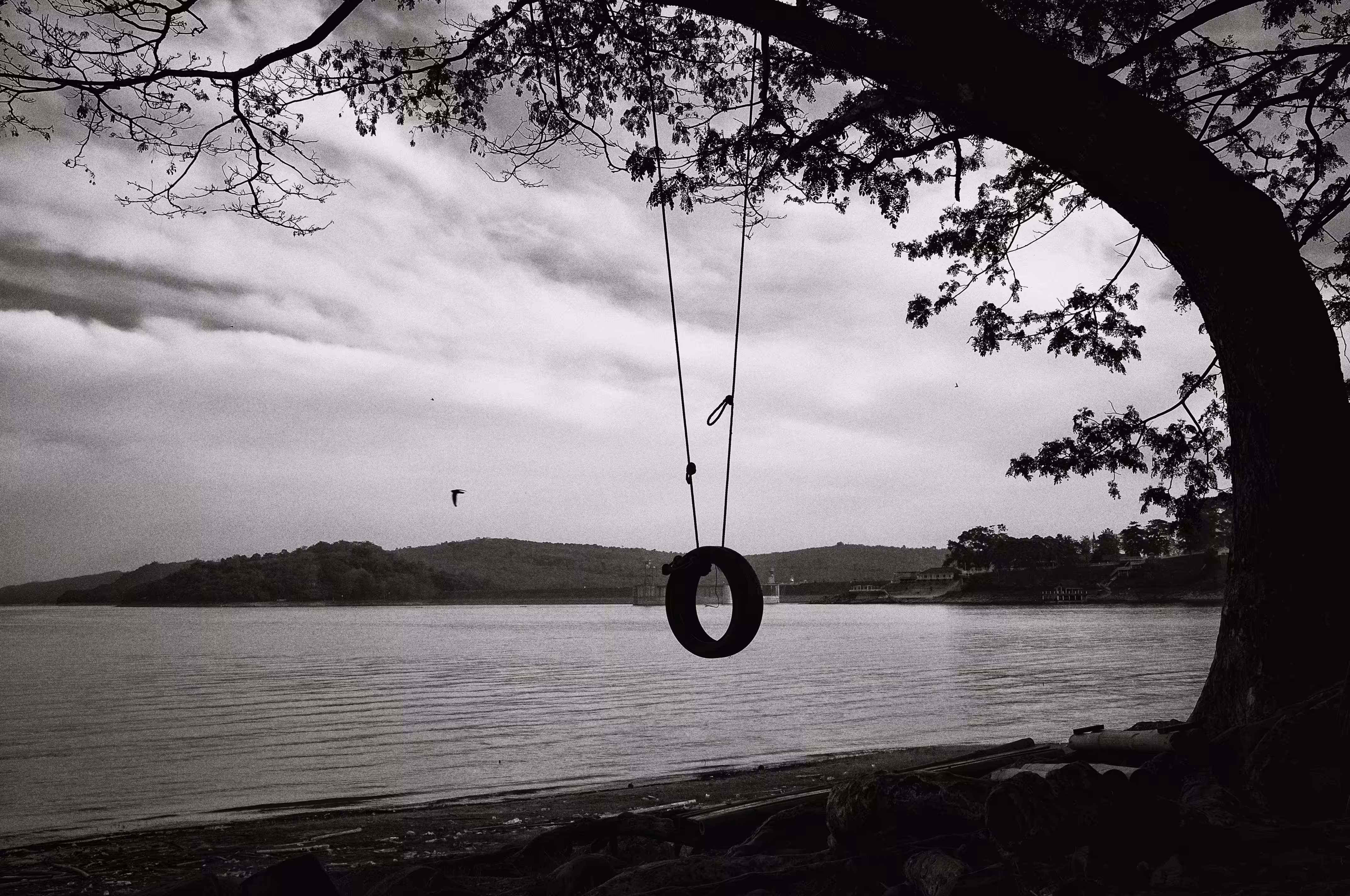 To find some peace of mind | part [3]