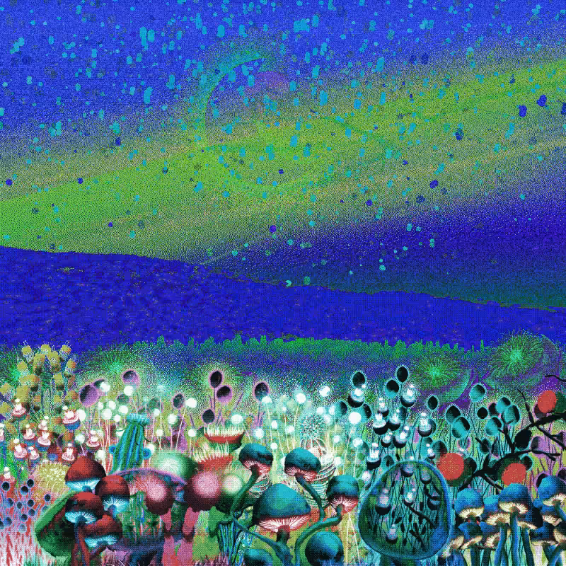 Onablo's Meadow #77