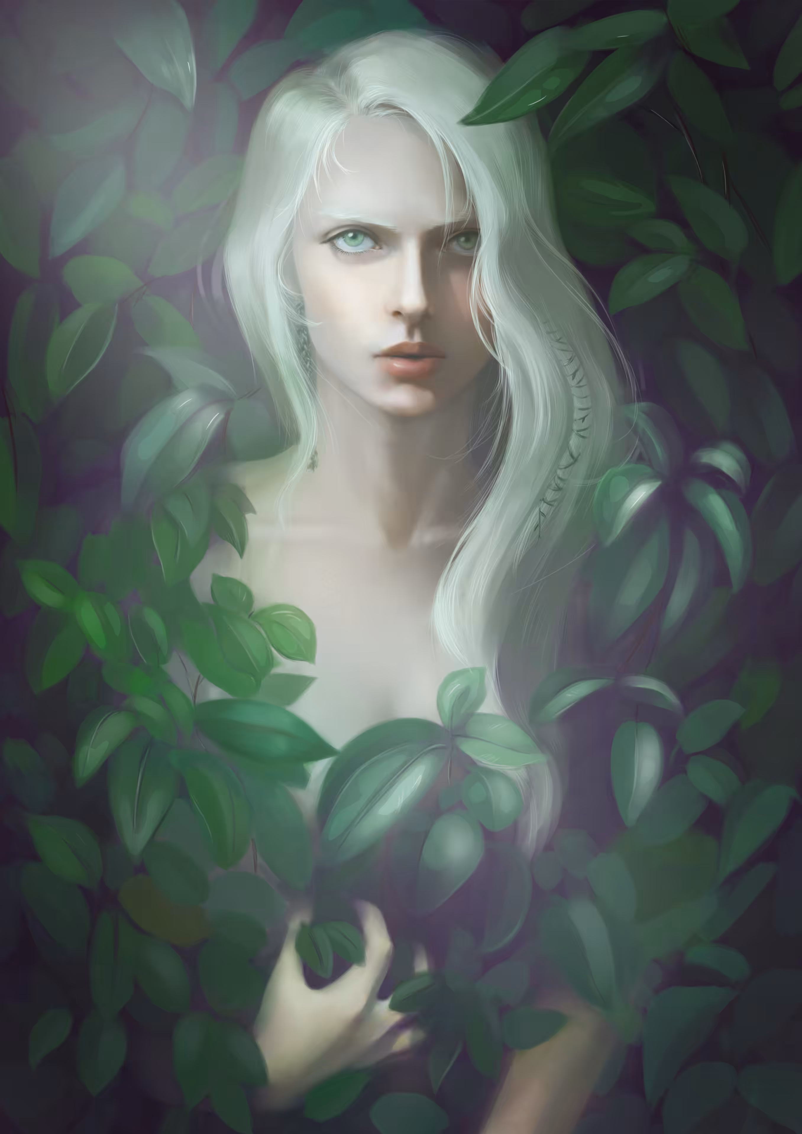 Dryad