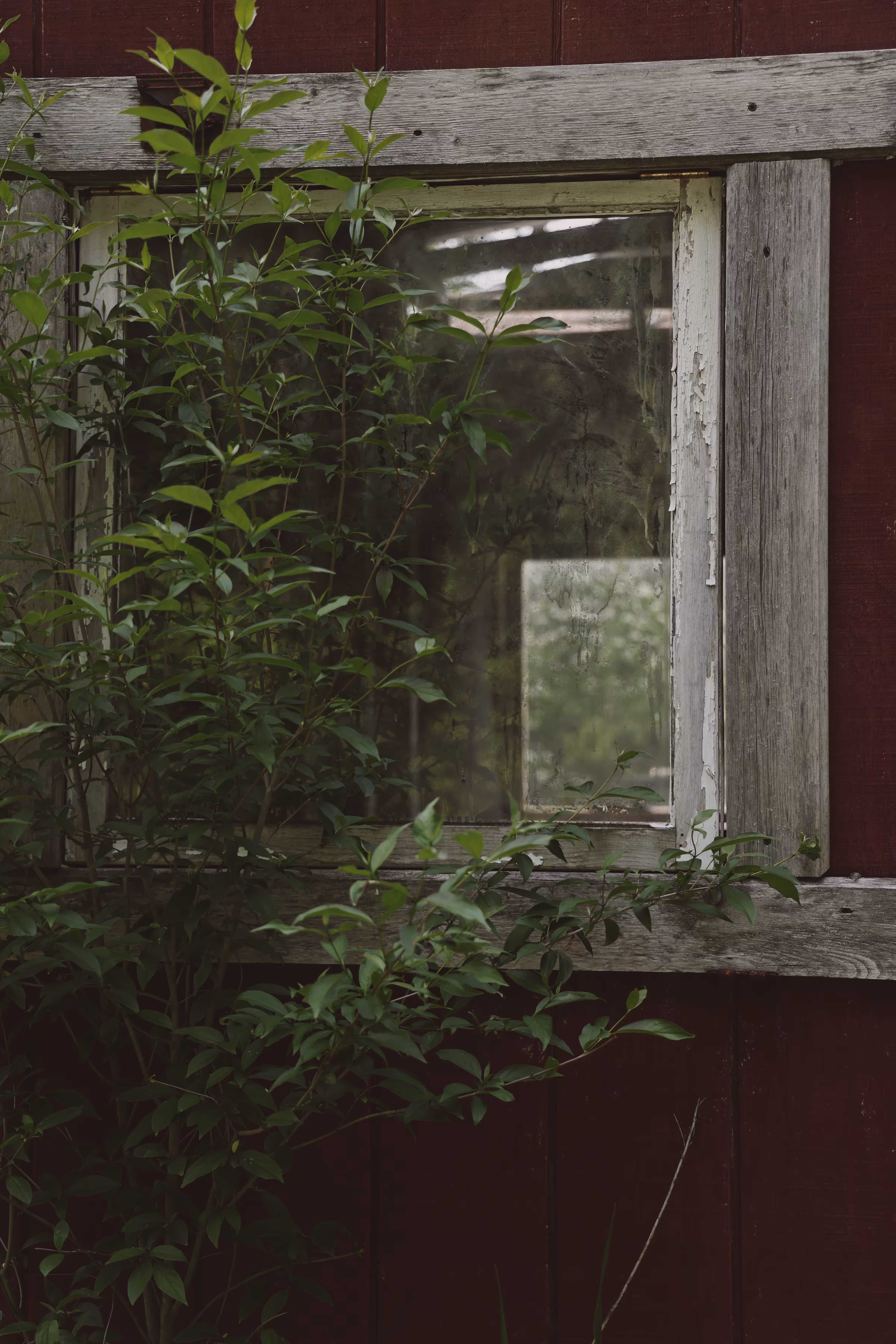 _alternative view