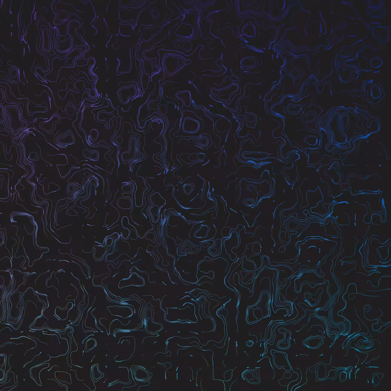 Topographic Lines #12