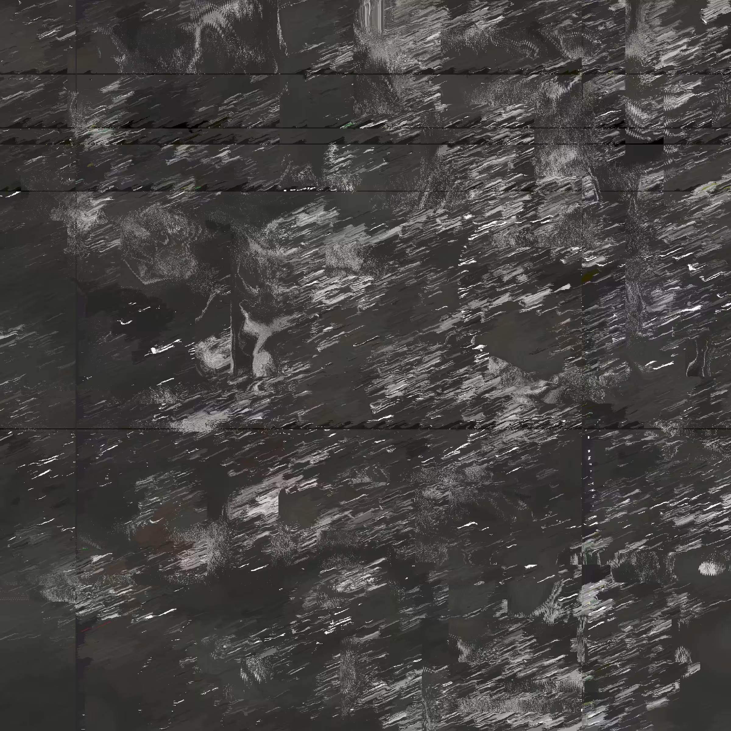 DDUST #153