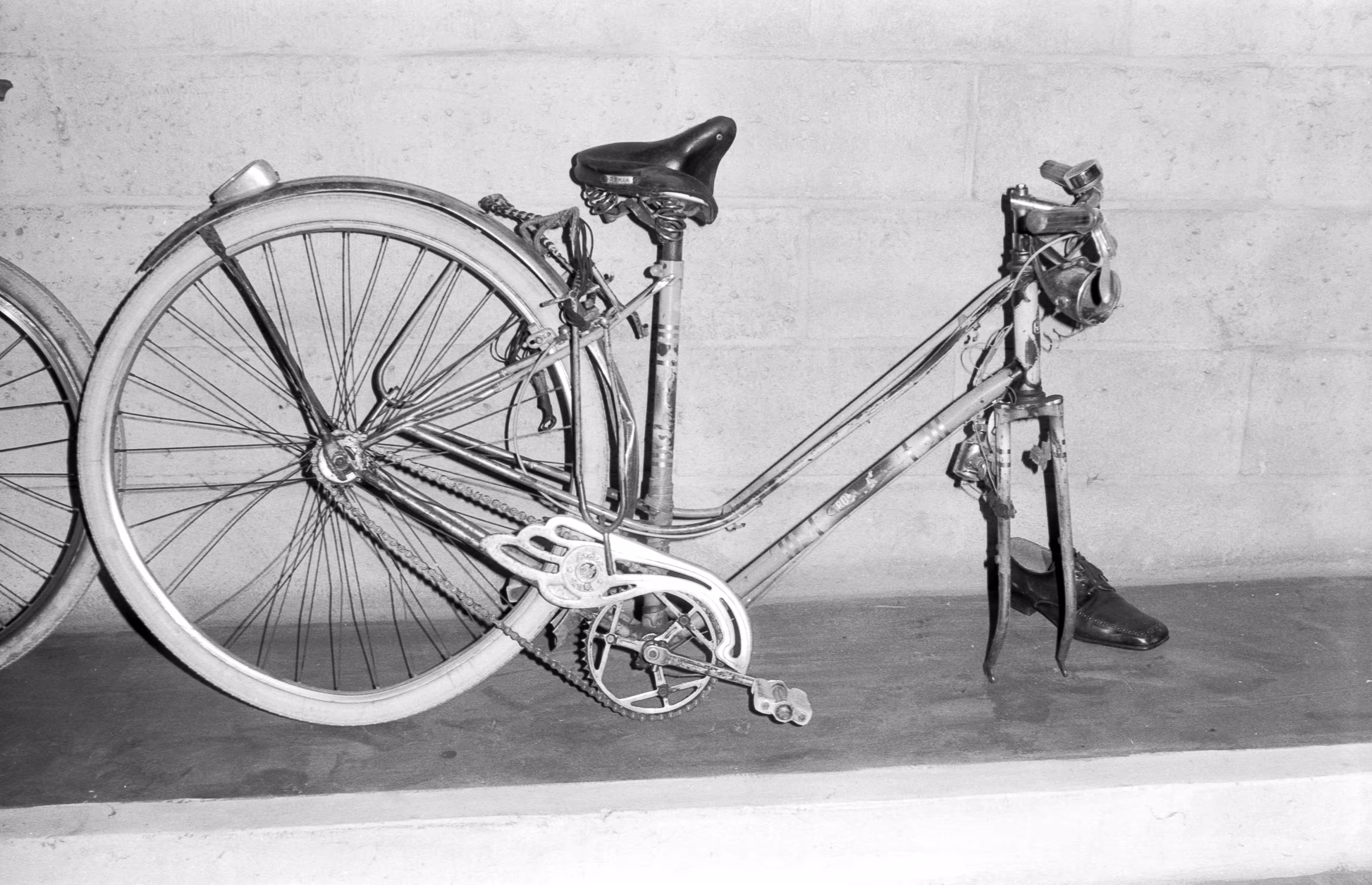 A bicycle, a shoe.