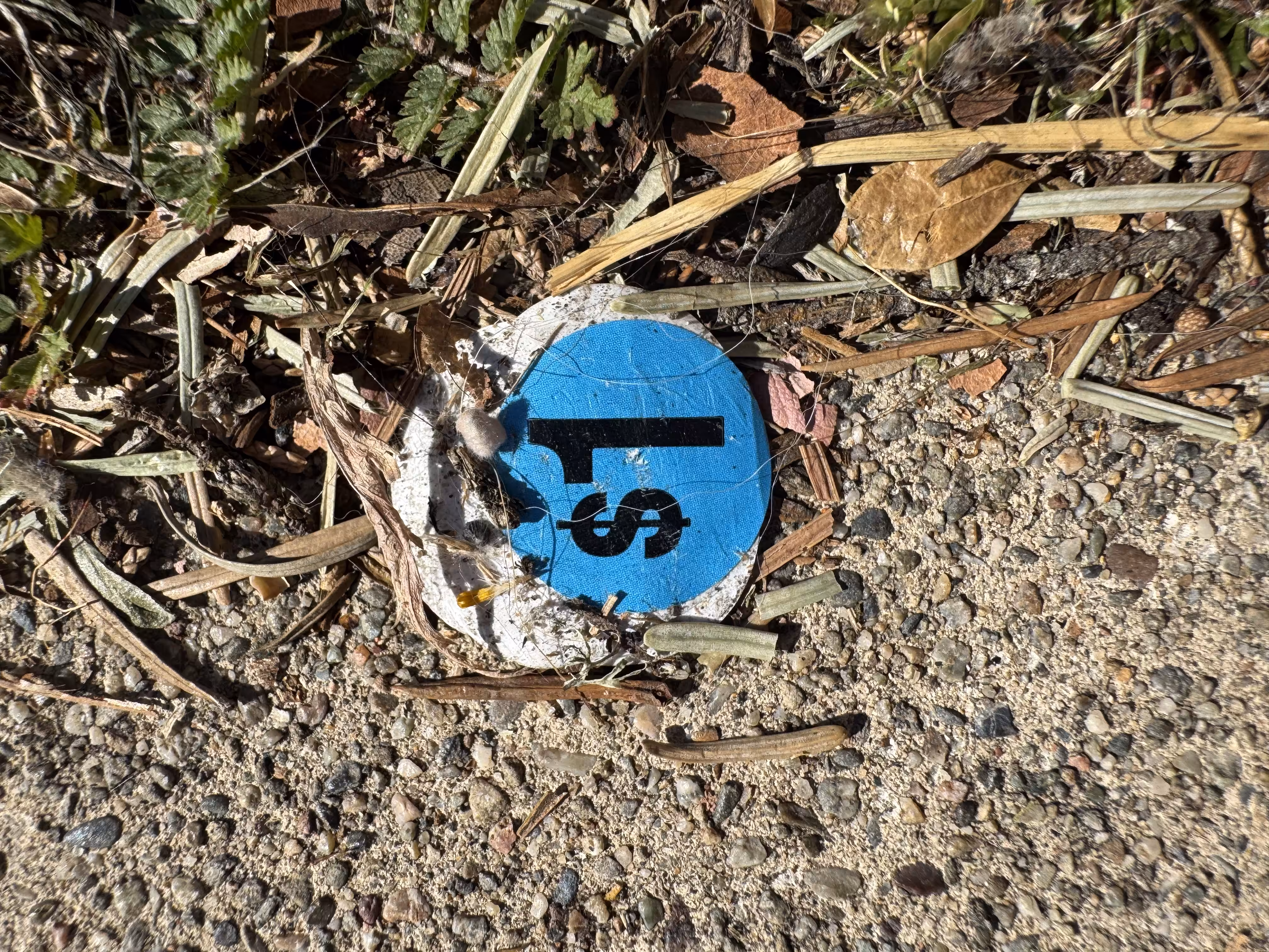 Two Blue Stickers to Get a Straight Line