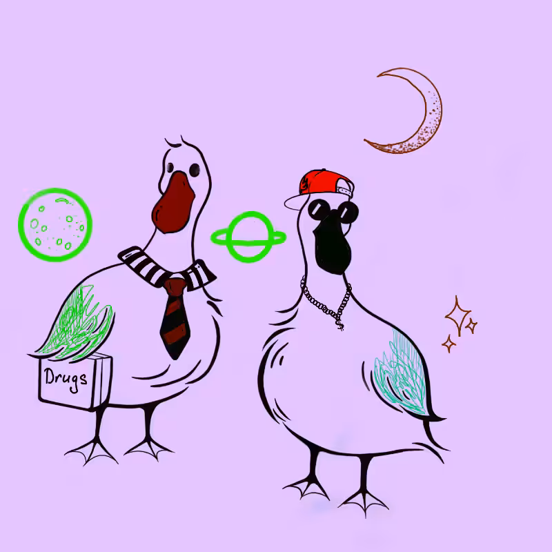 Important geese #9
