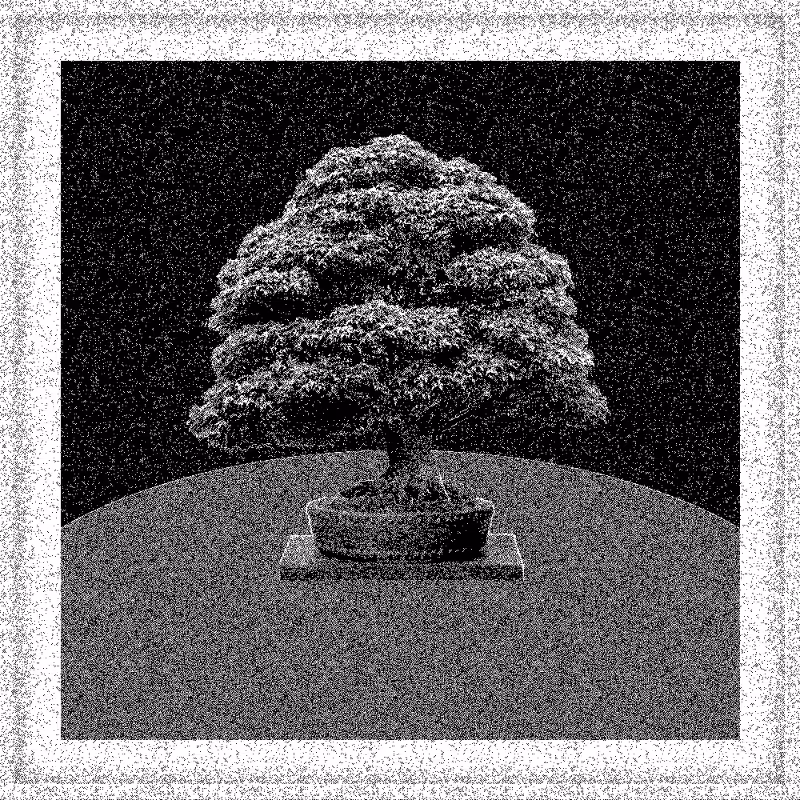 Bonsai Bonanza #546