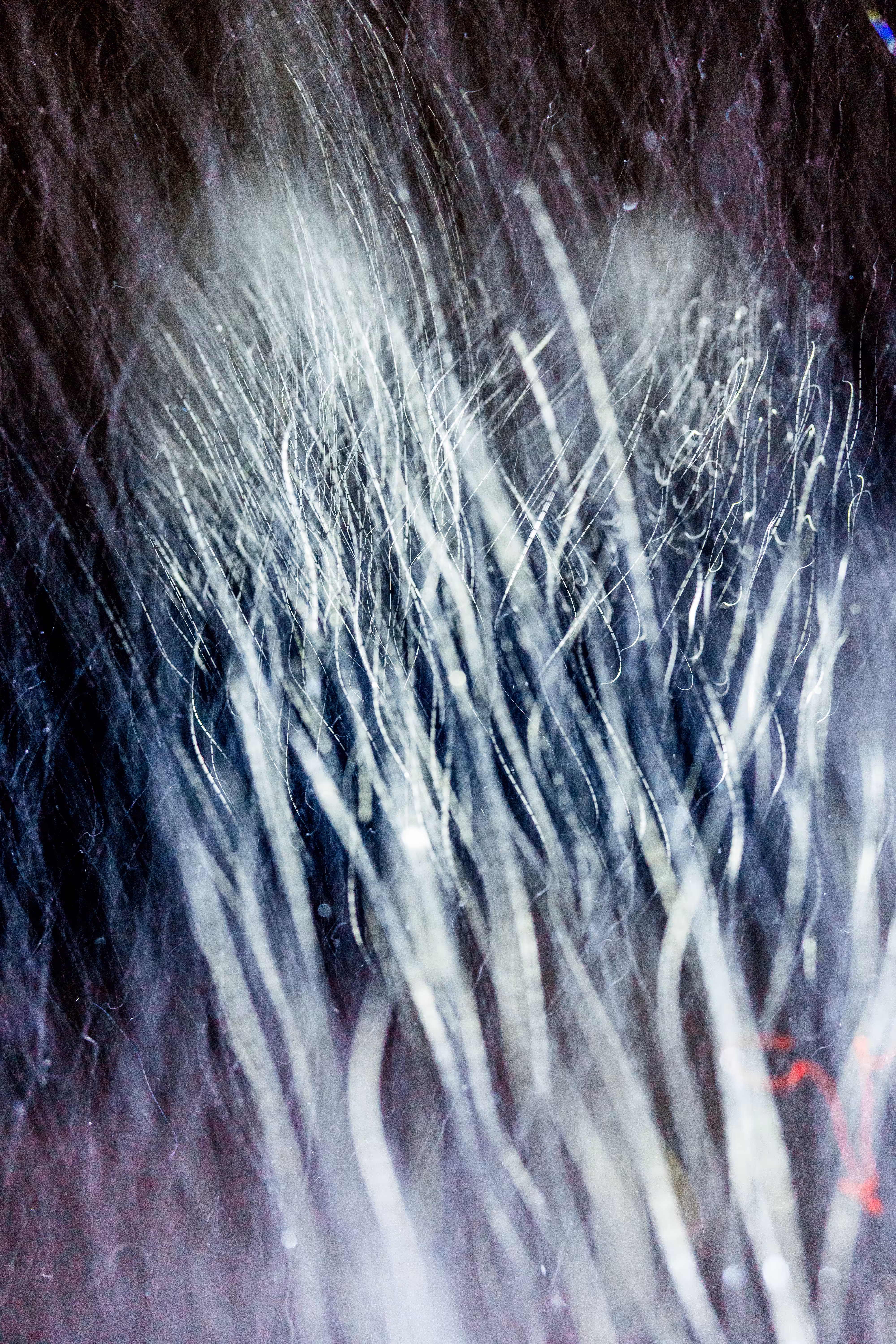GISELXLIGHTSLURRY: L1210388 : An omen of the skies