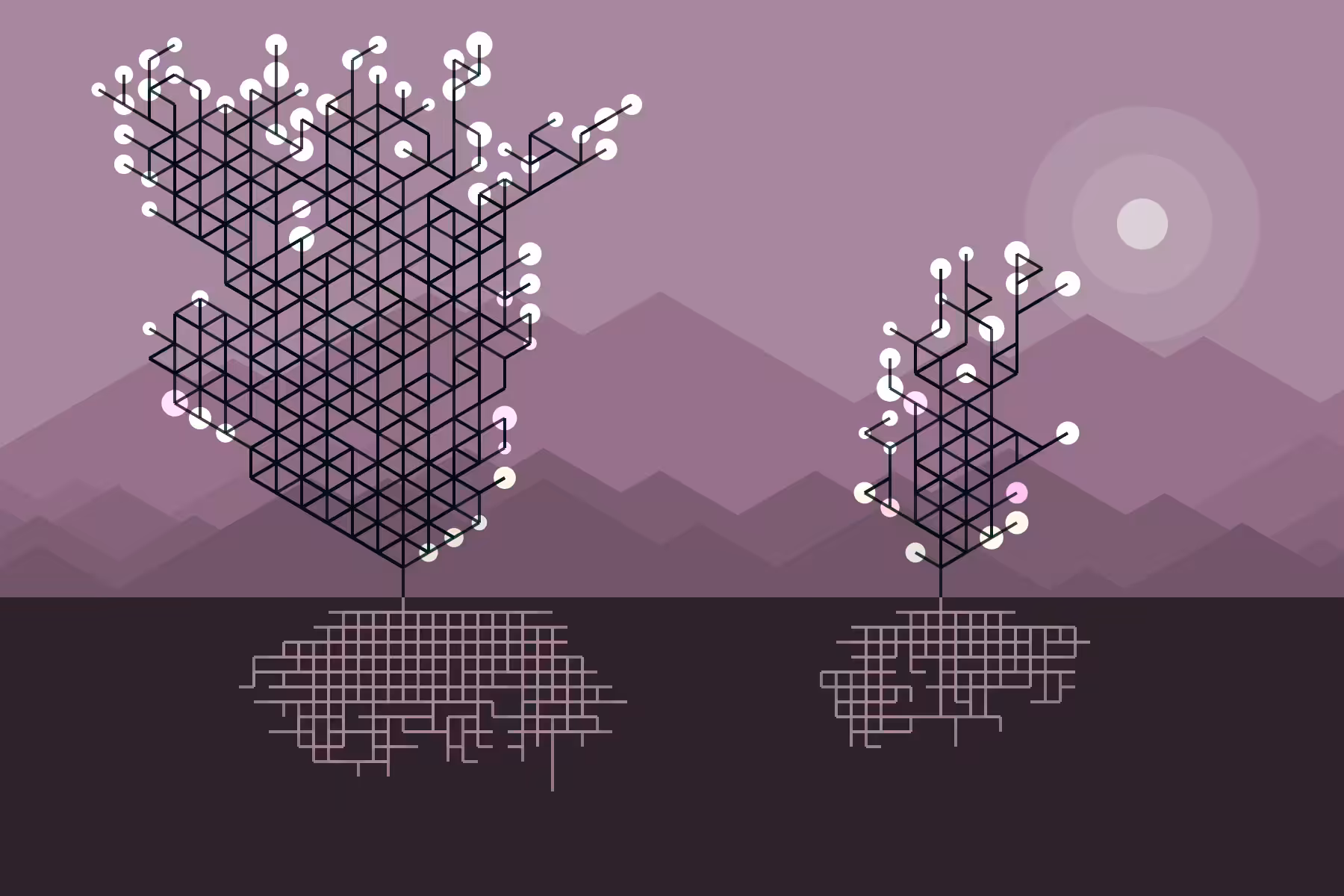 Cyber Duo #7