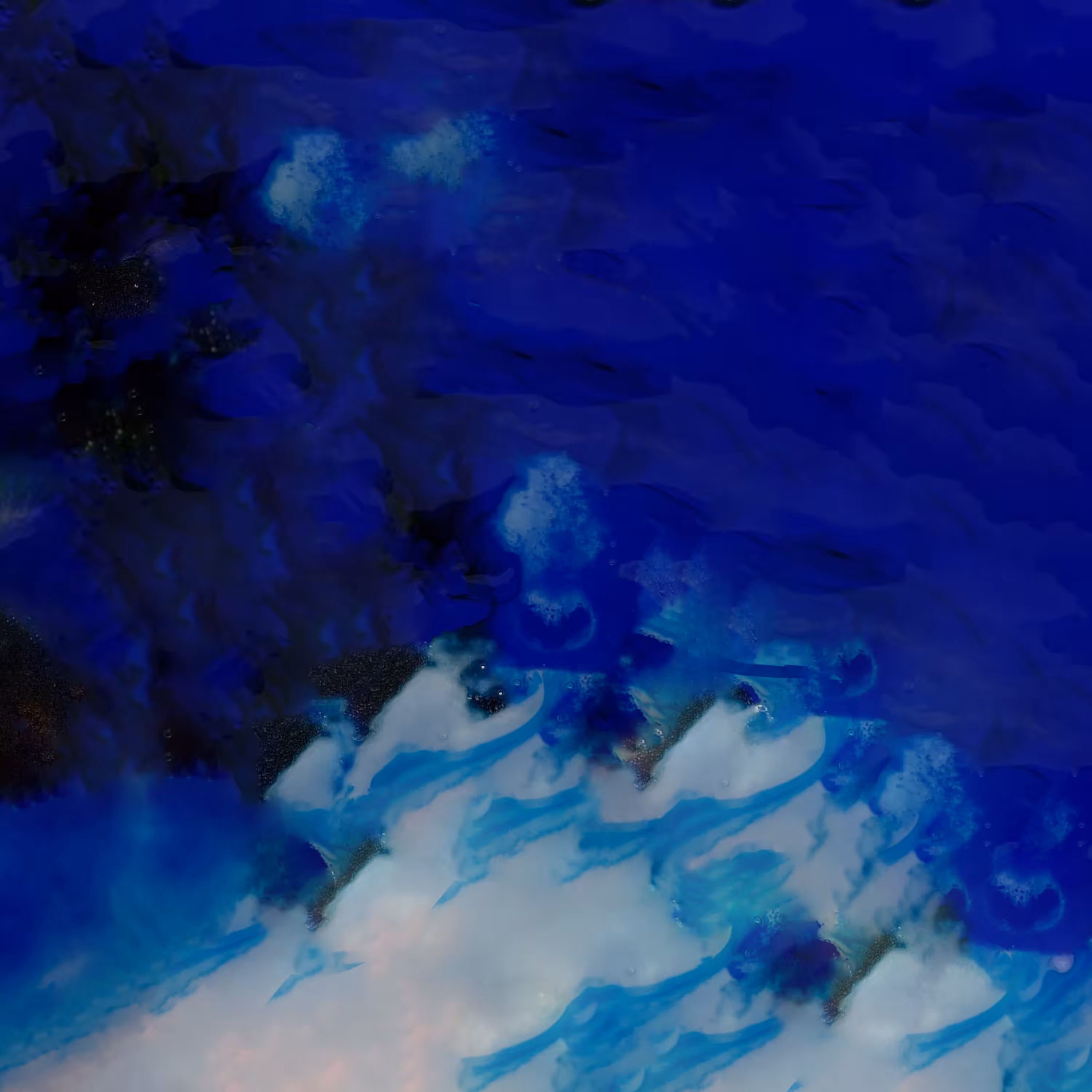Follower 35