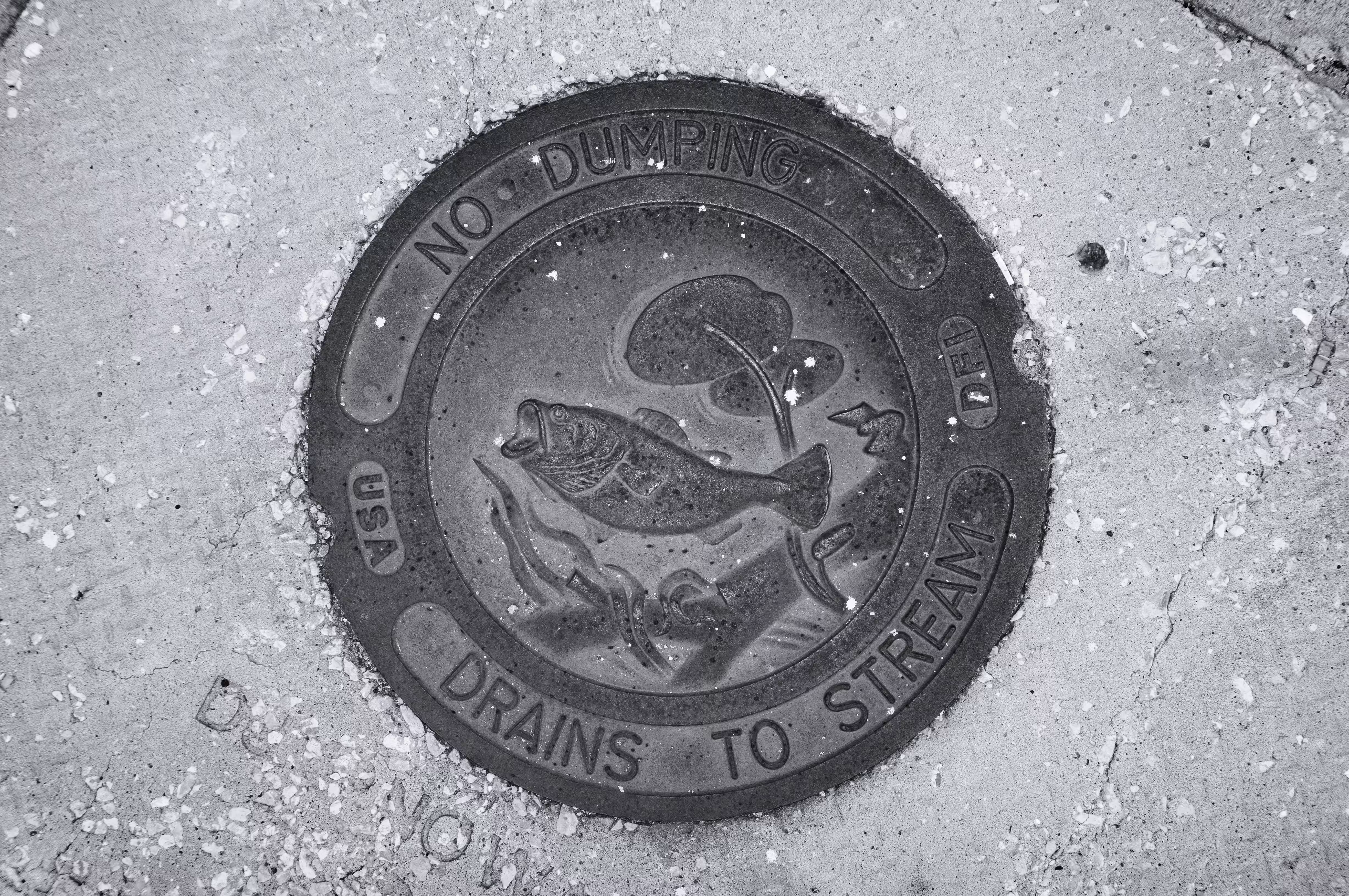No Dumping, Saint Louis 2016