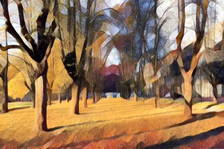 Hidden House In A Forest