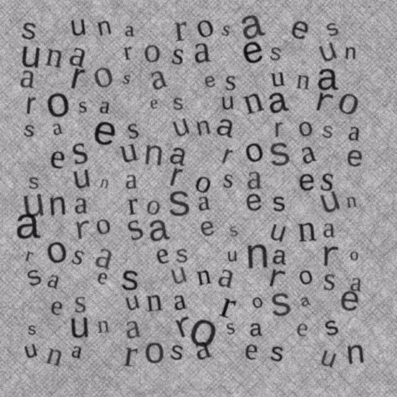 una rosa es #15