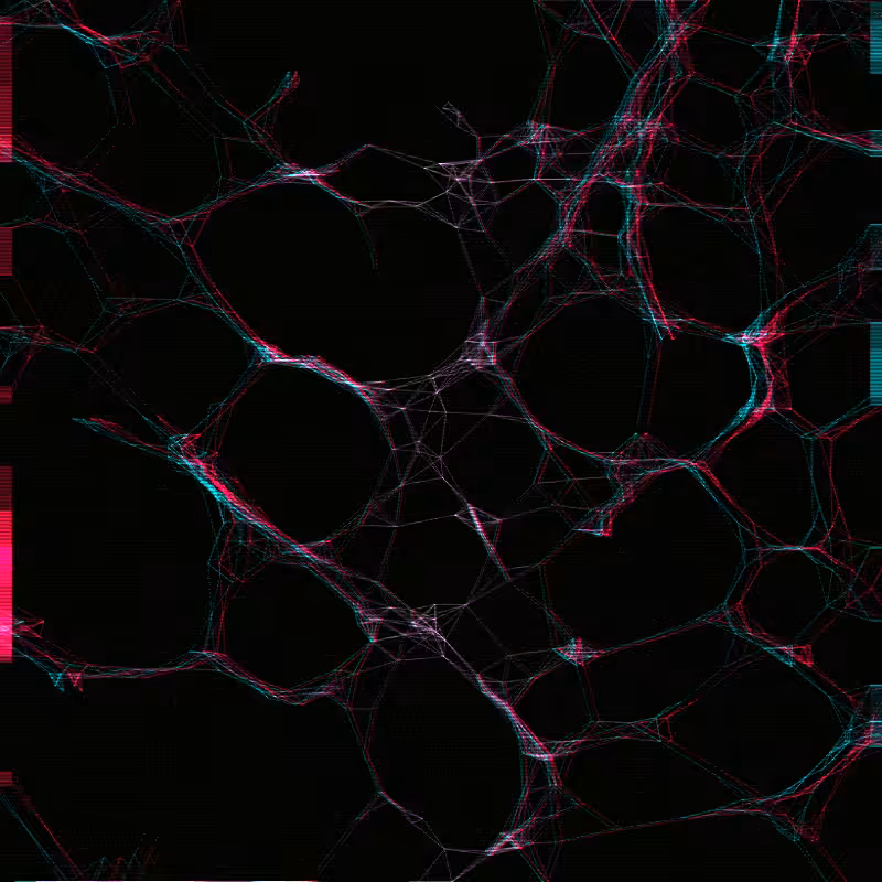 Spider Web