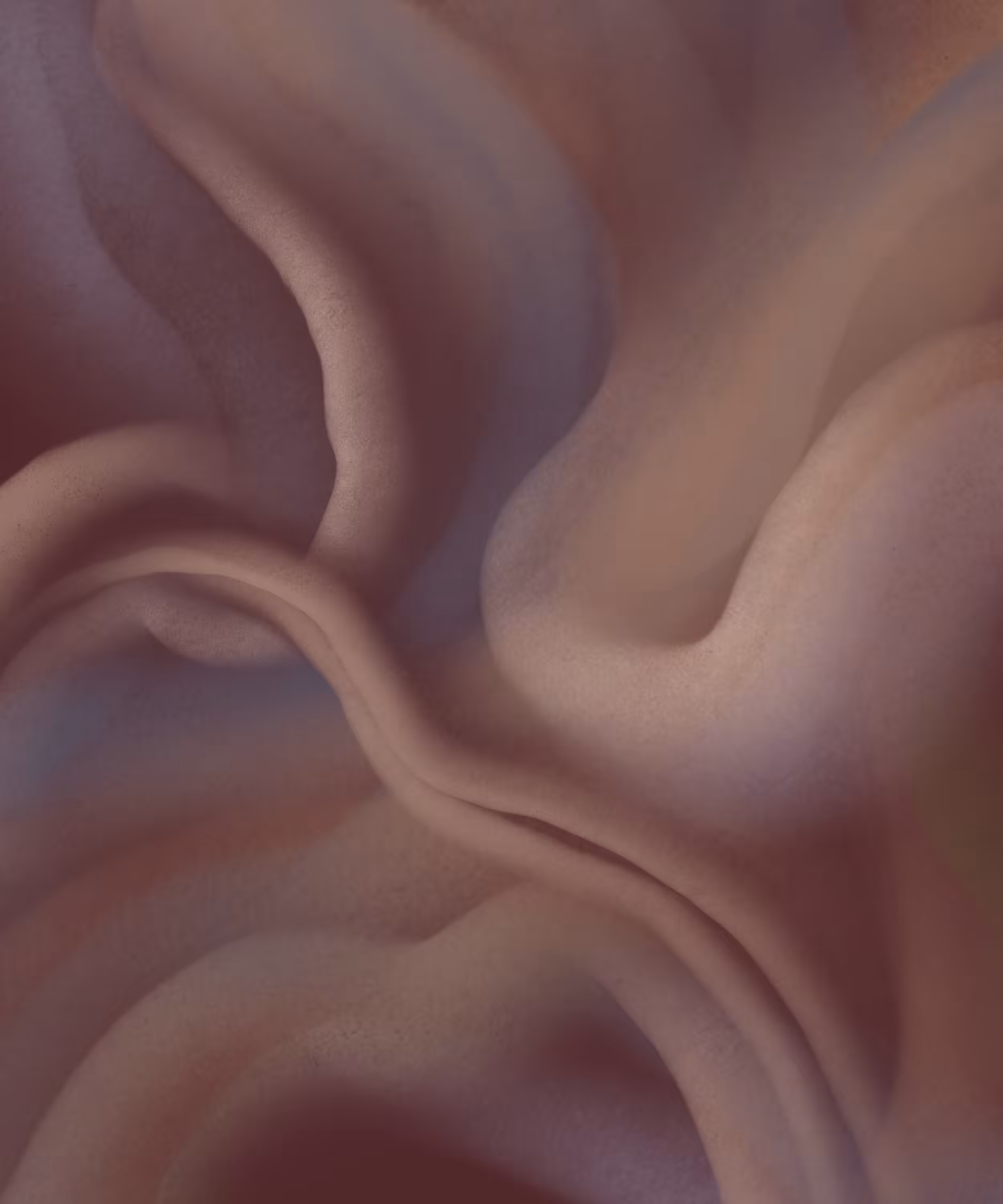 Warm Falls